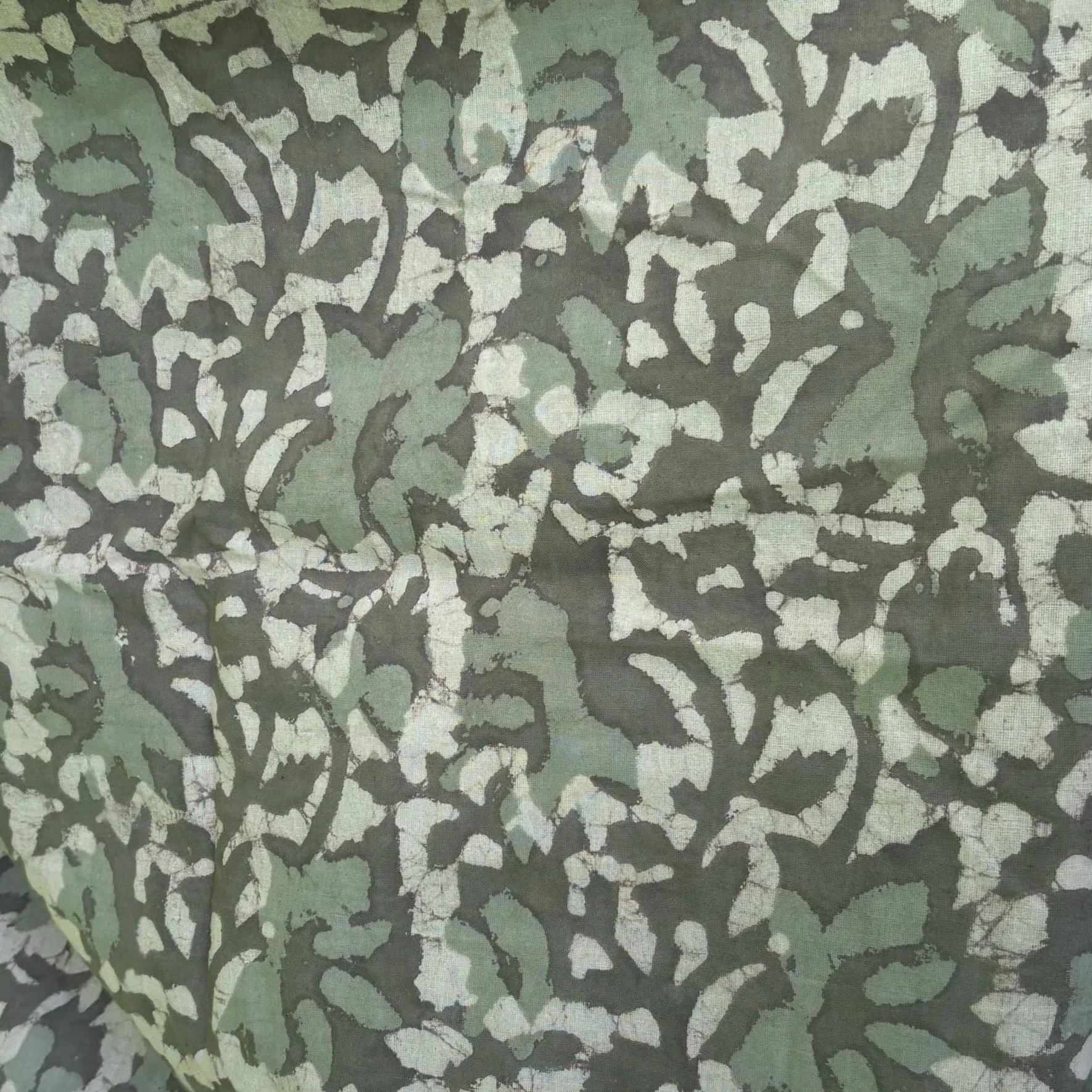 IMG_5908.jpeg+Salv+Block+Olive+Vine.jpg