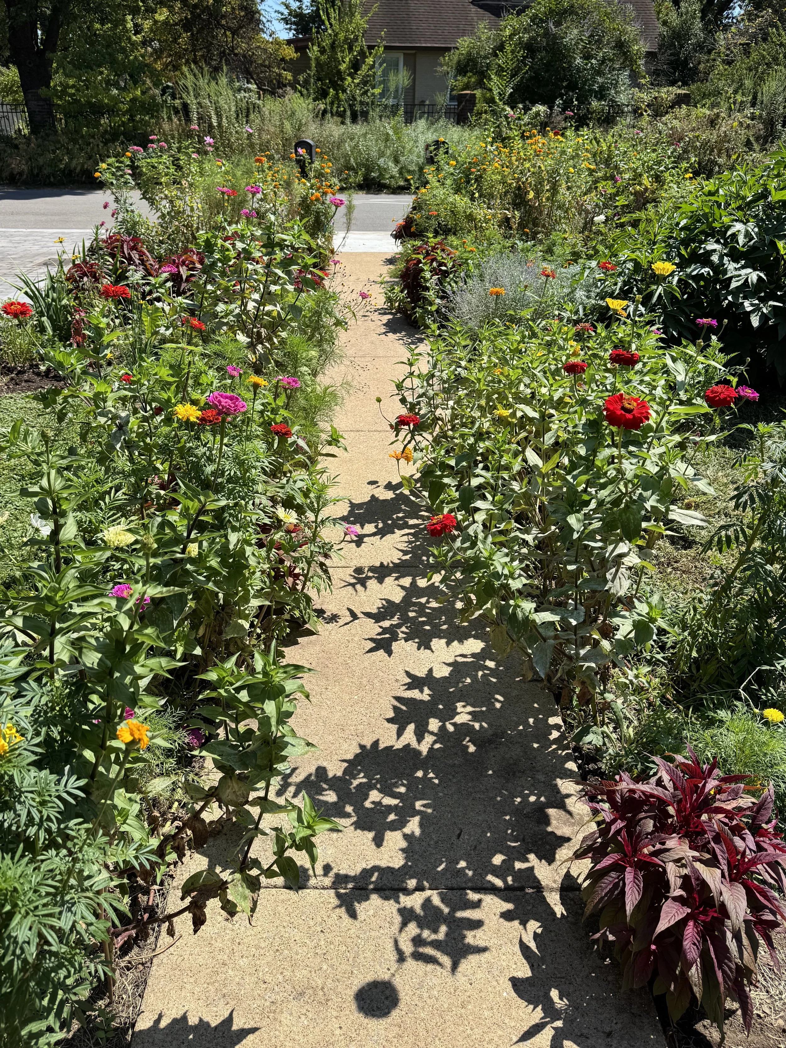walkway.jpeg