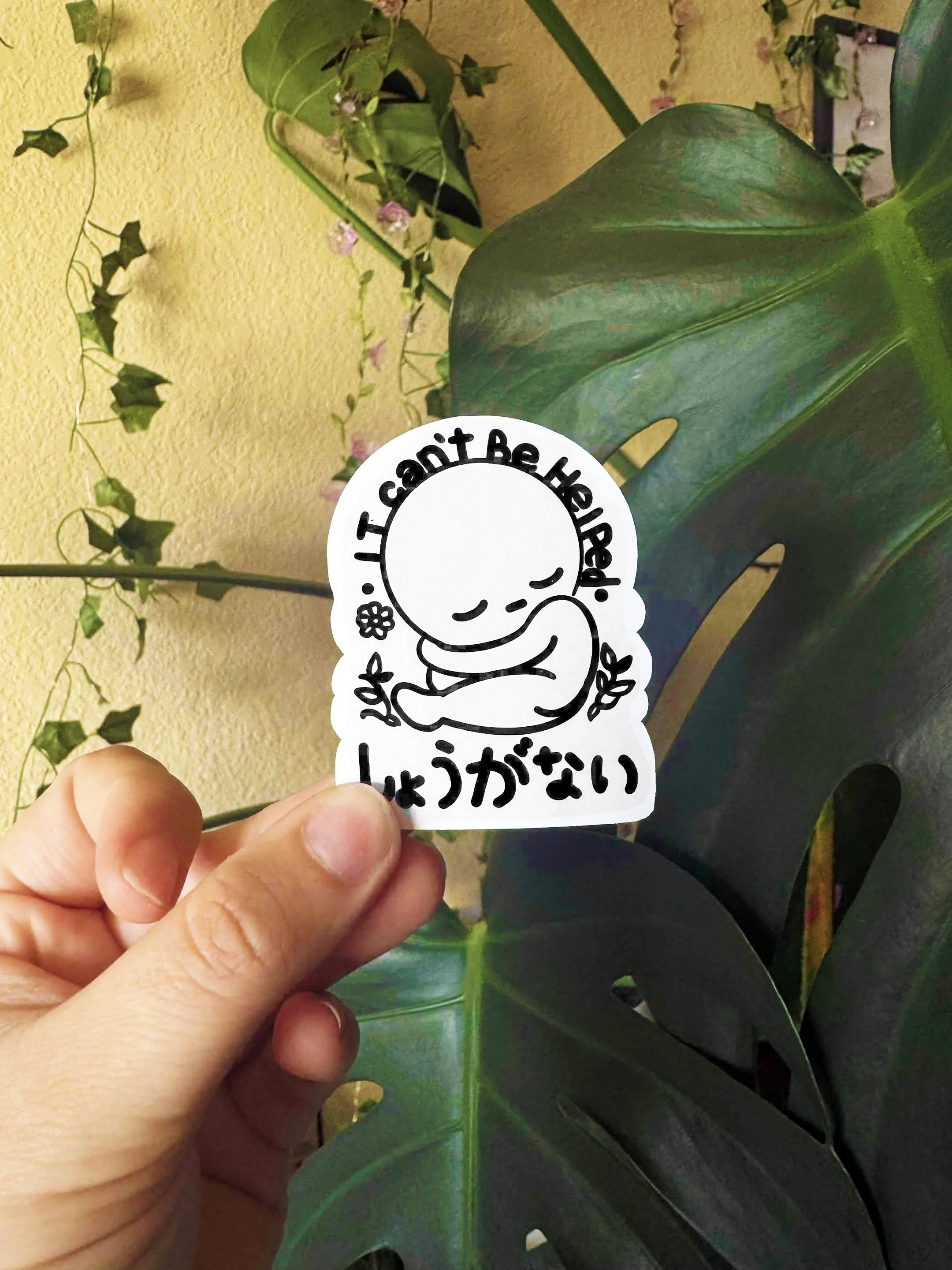 IMG_6866.jpg