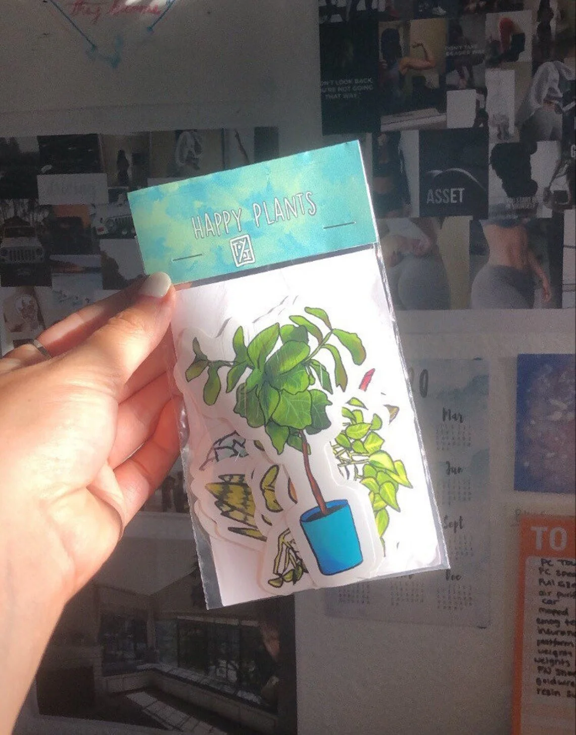 Happy House Plants Sticker Set