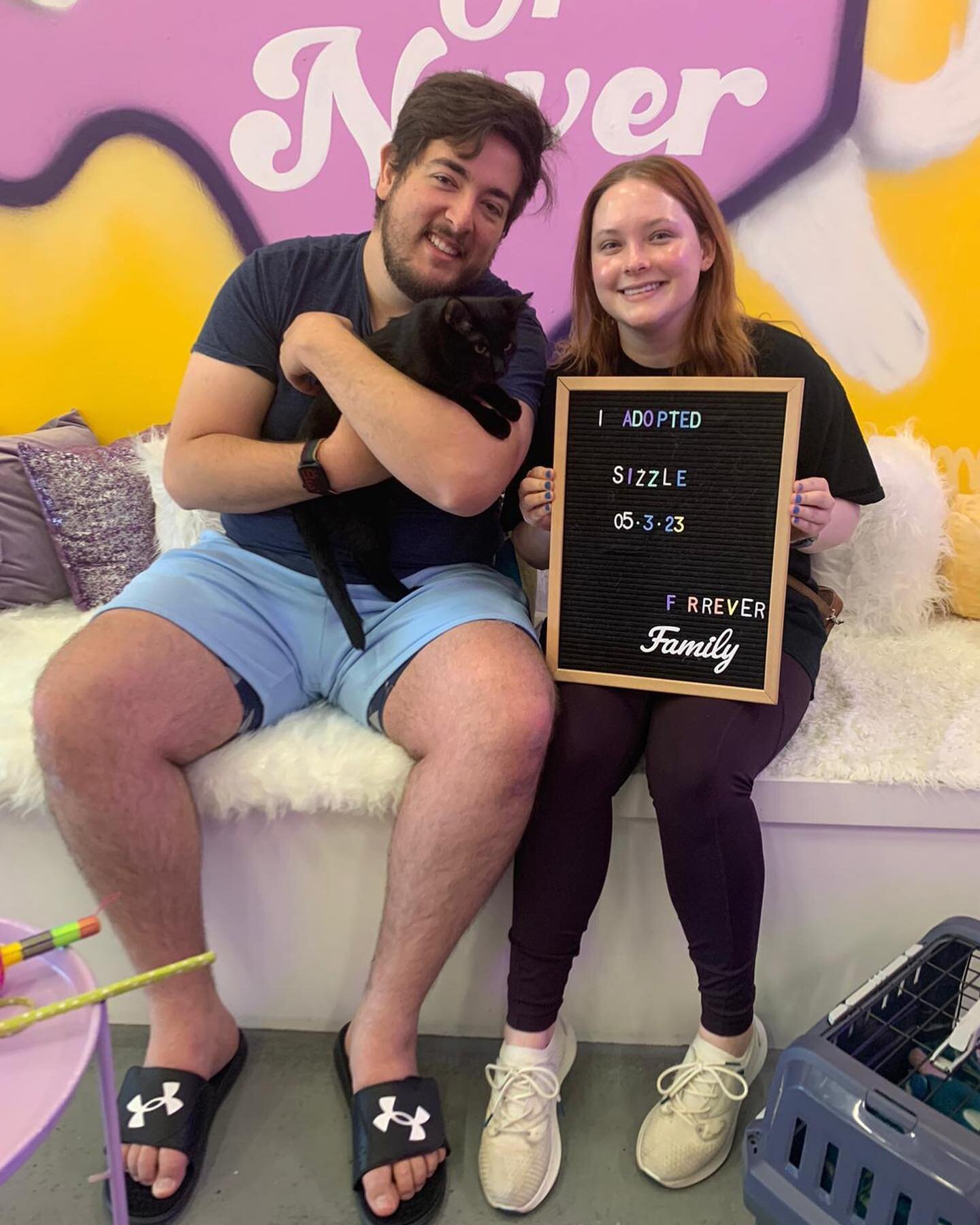 Meet Sizzle the black beauty has found her forever home with the kindest family who fell in love with her sweet purrsonality. 

We're so happy to see him go to a loving home where she&rsquo;ll be spoiled with cuddles and treats. 

Congratulations to 