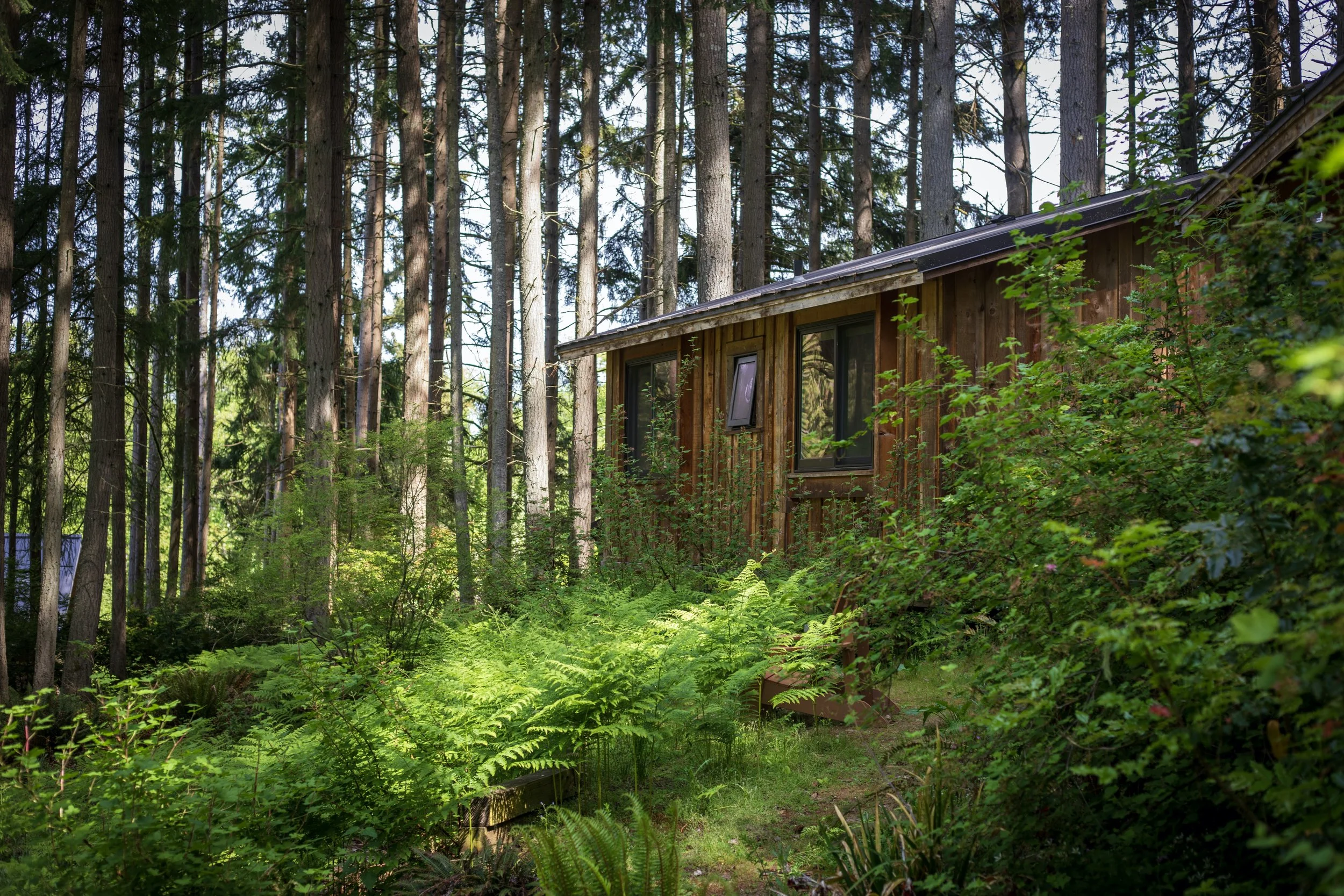 Meadow Row Cabins