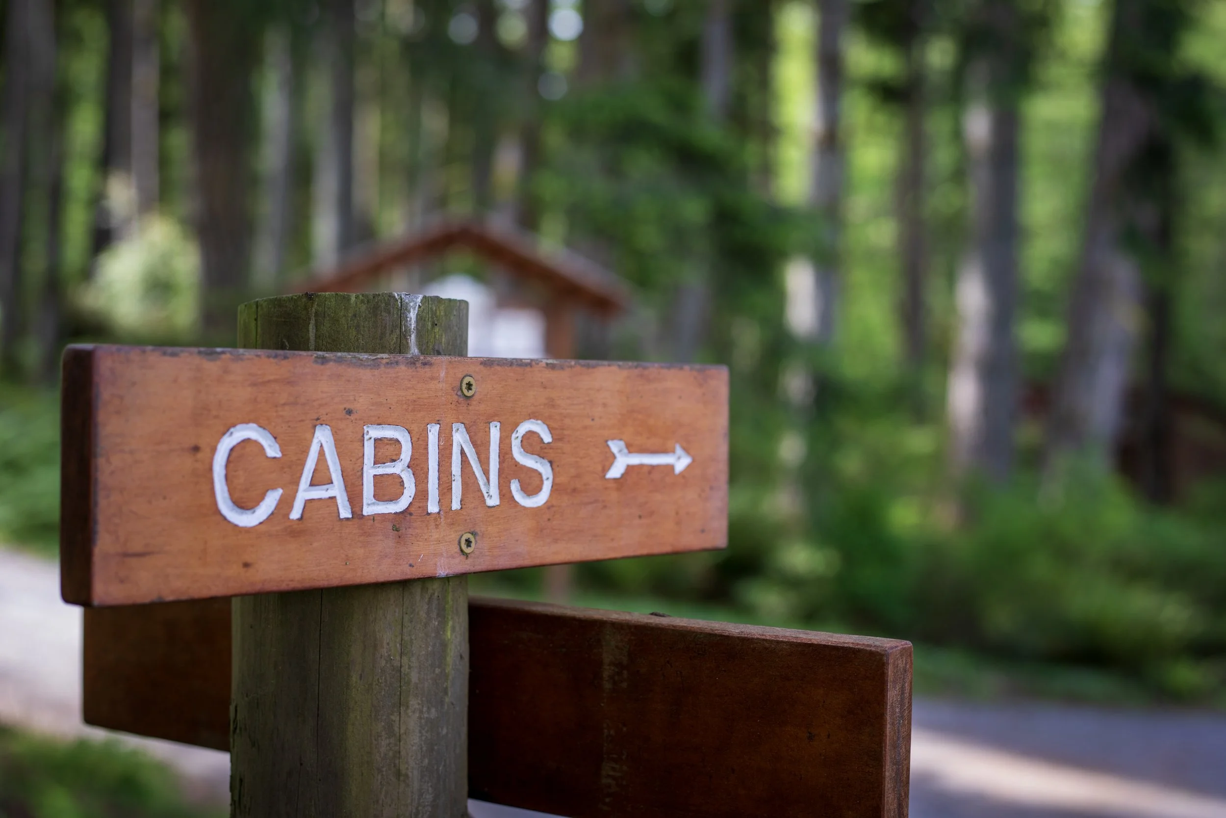Cabins_MVI_7179.jpg