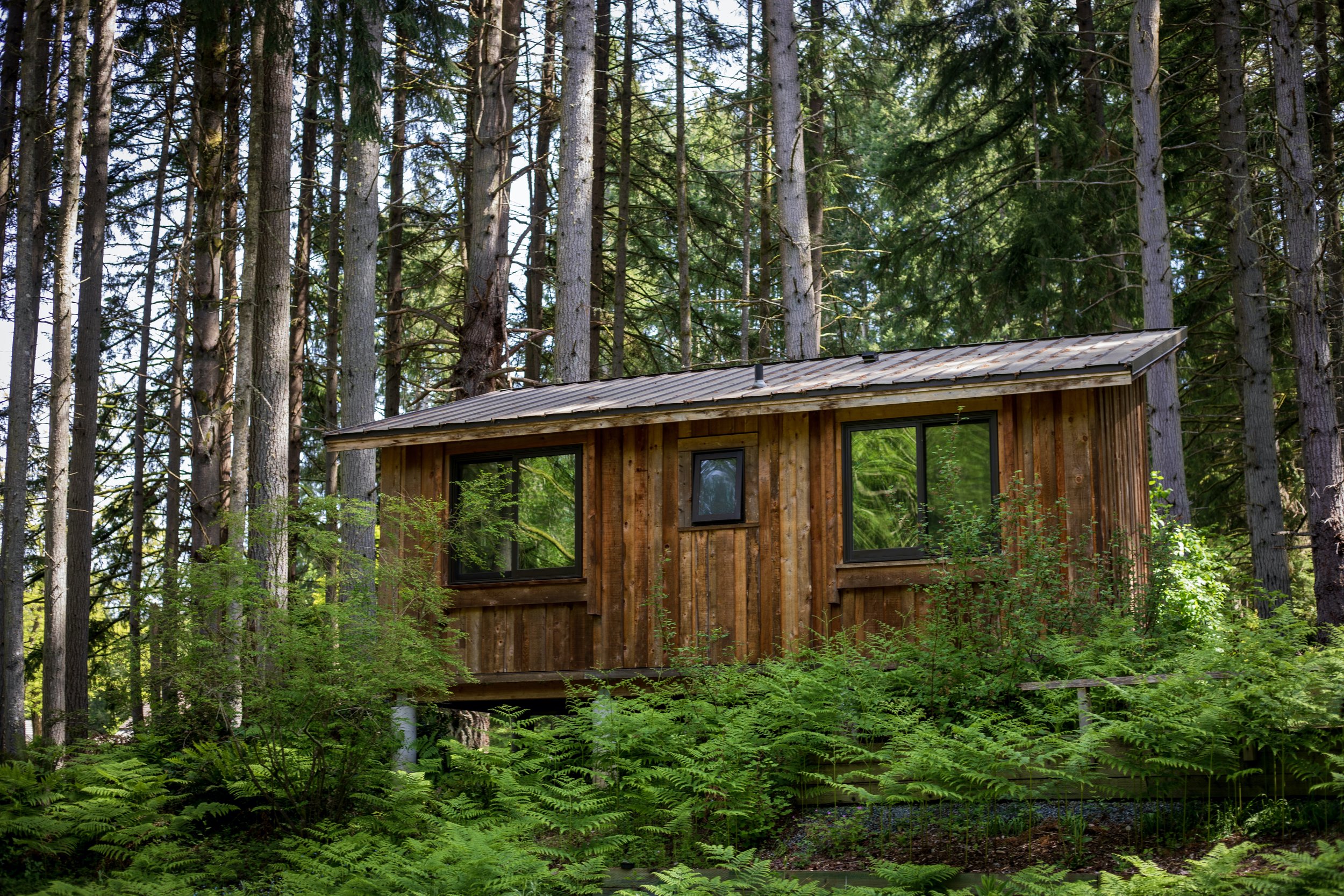 Cabins_MVI_7176.jpeg