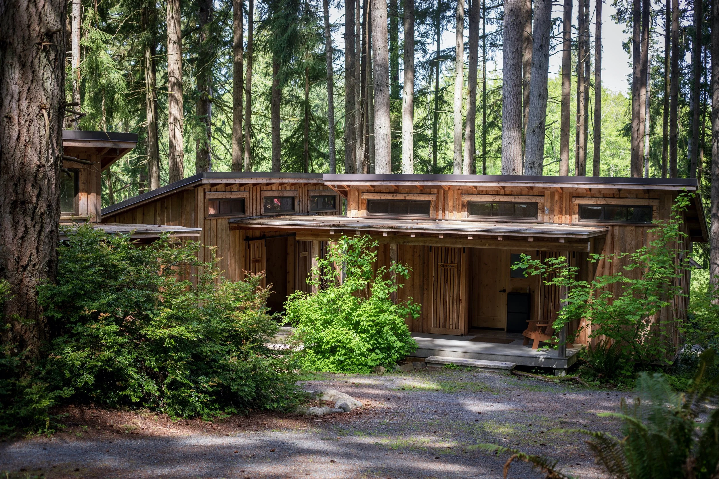 Cabins_MVI_7171.jpeg