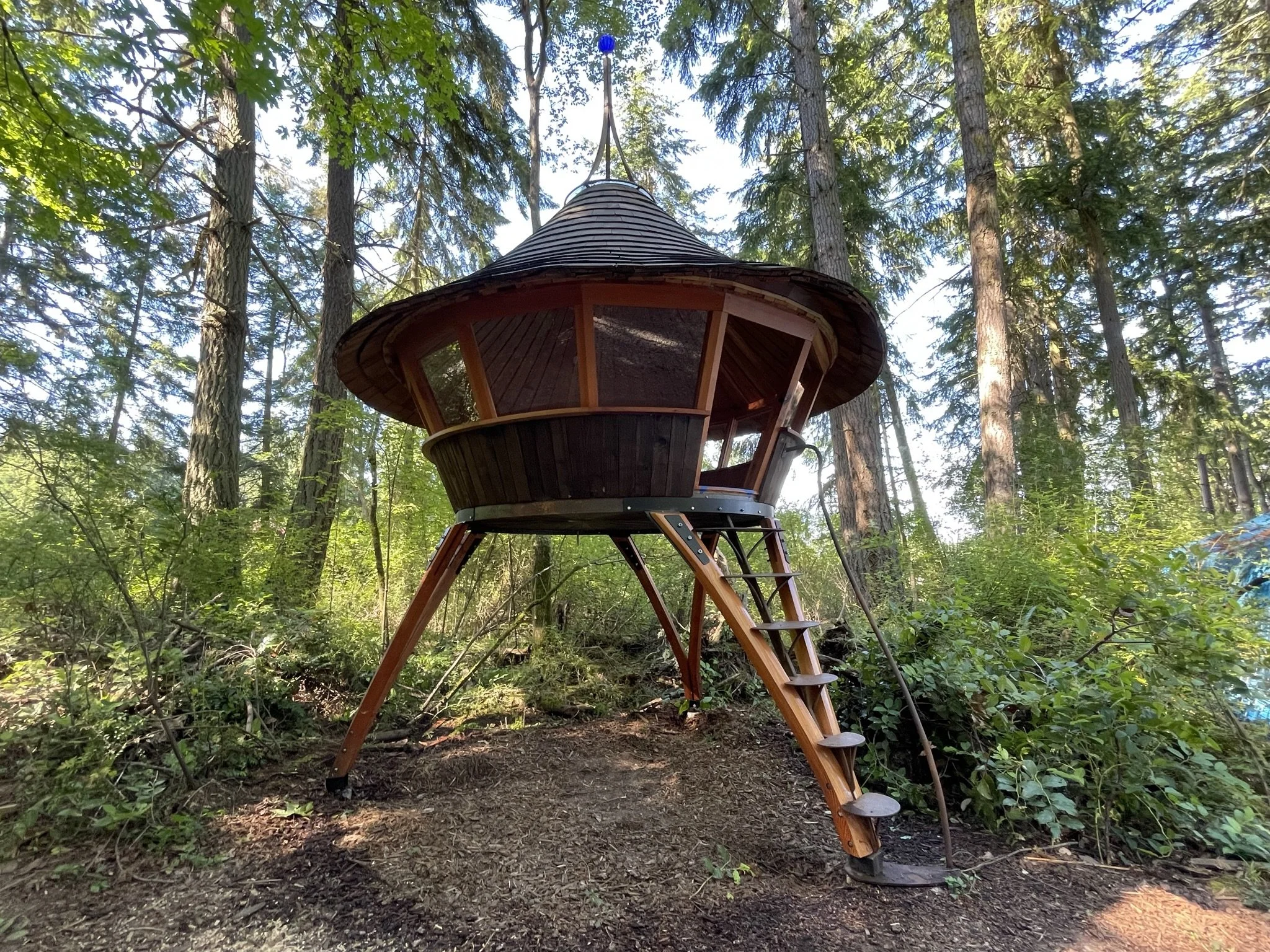 hummingbird yurt angle 2 _ dan.JPEG