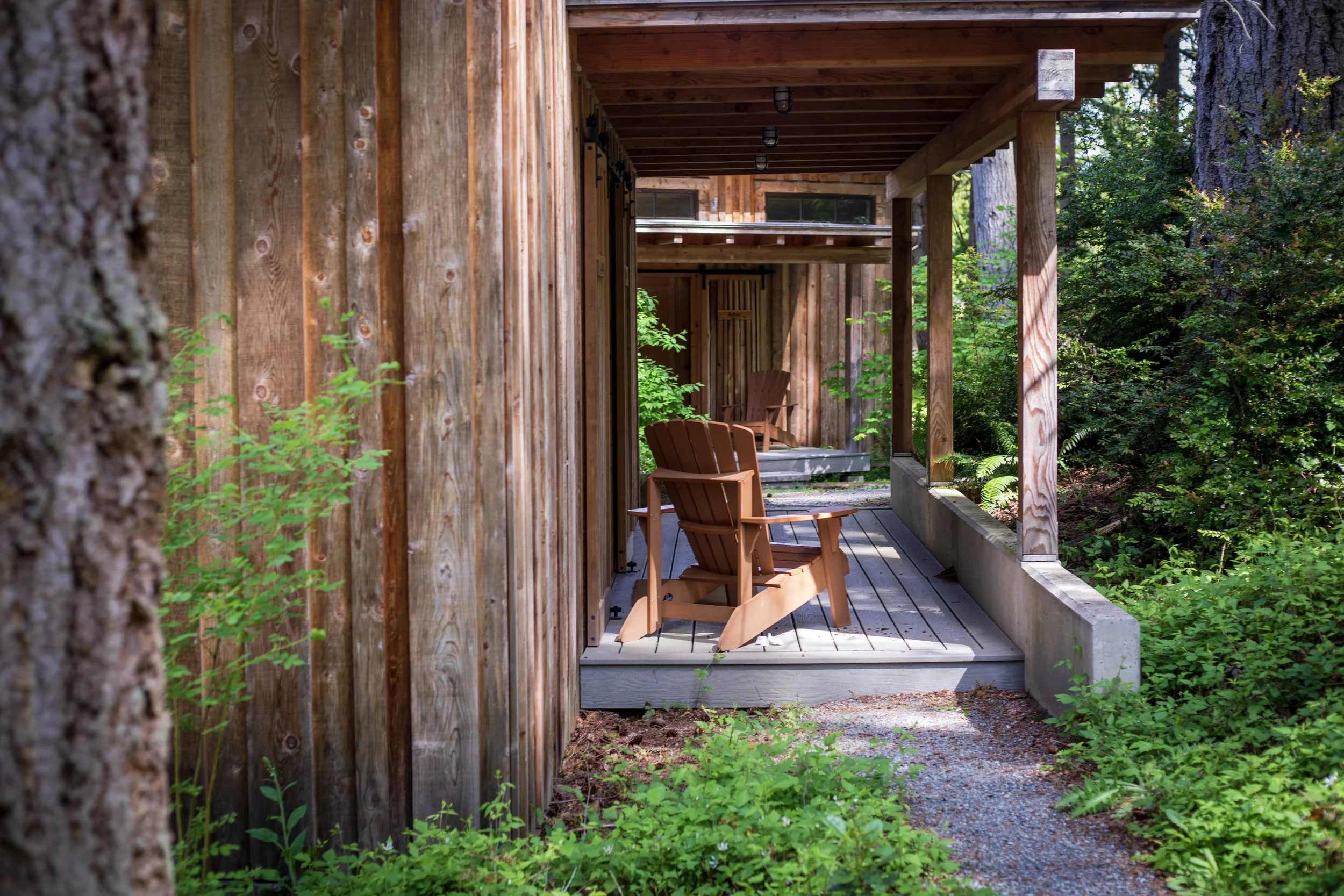 Cabins_MVI_7164.jpg