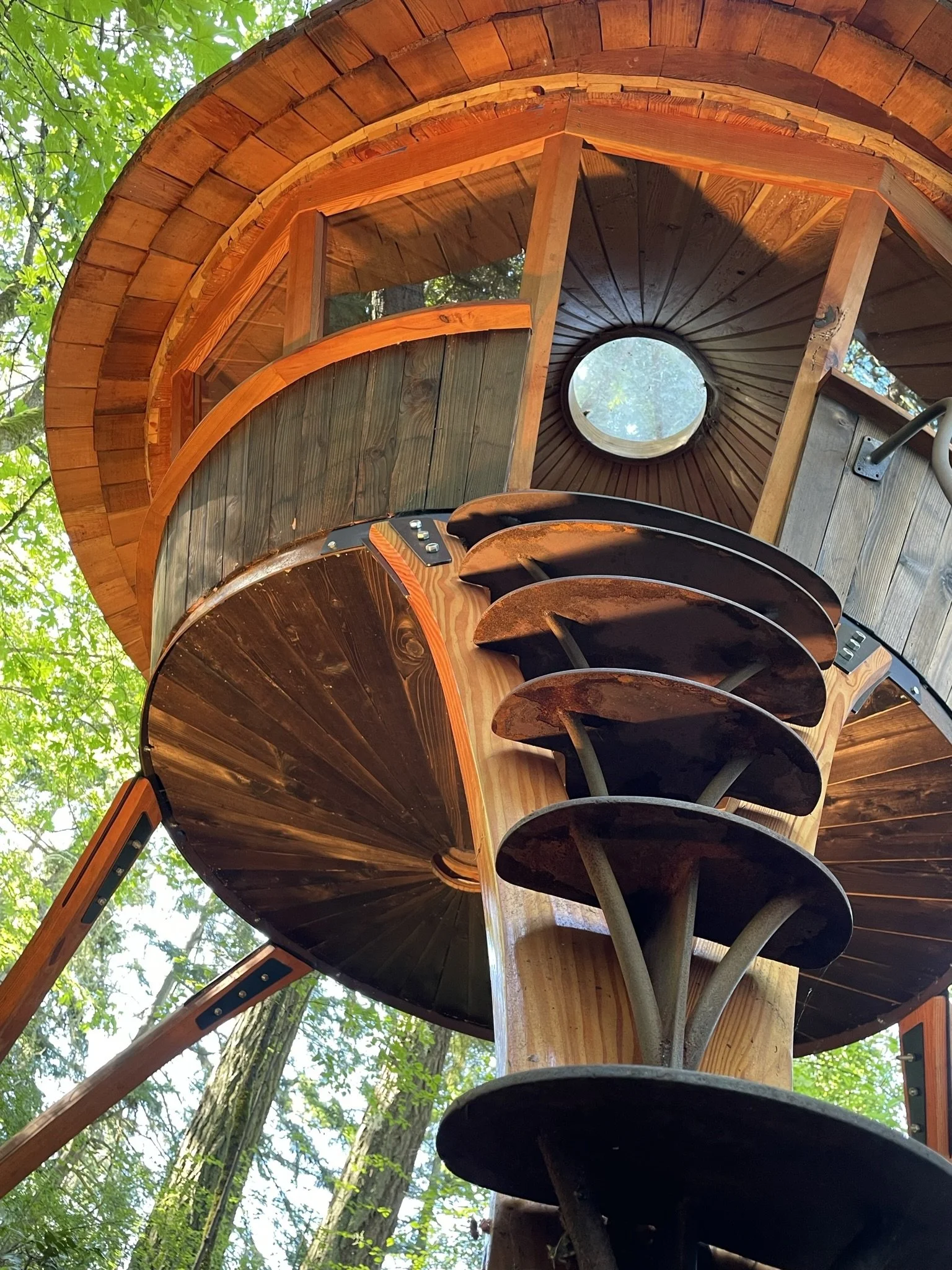 hummingbird yurt stairs _ dan.JPEG