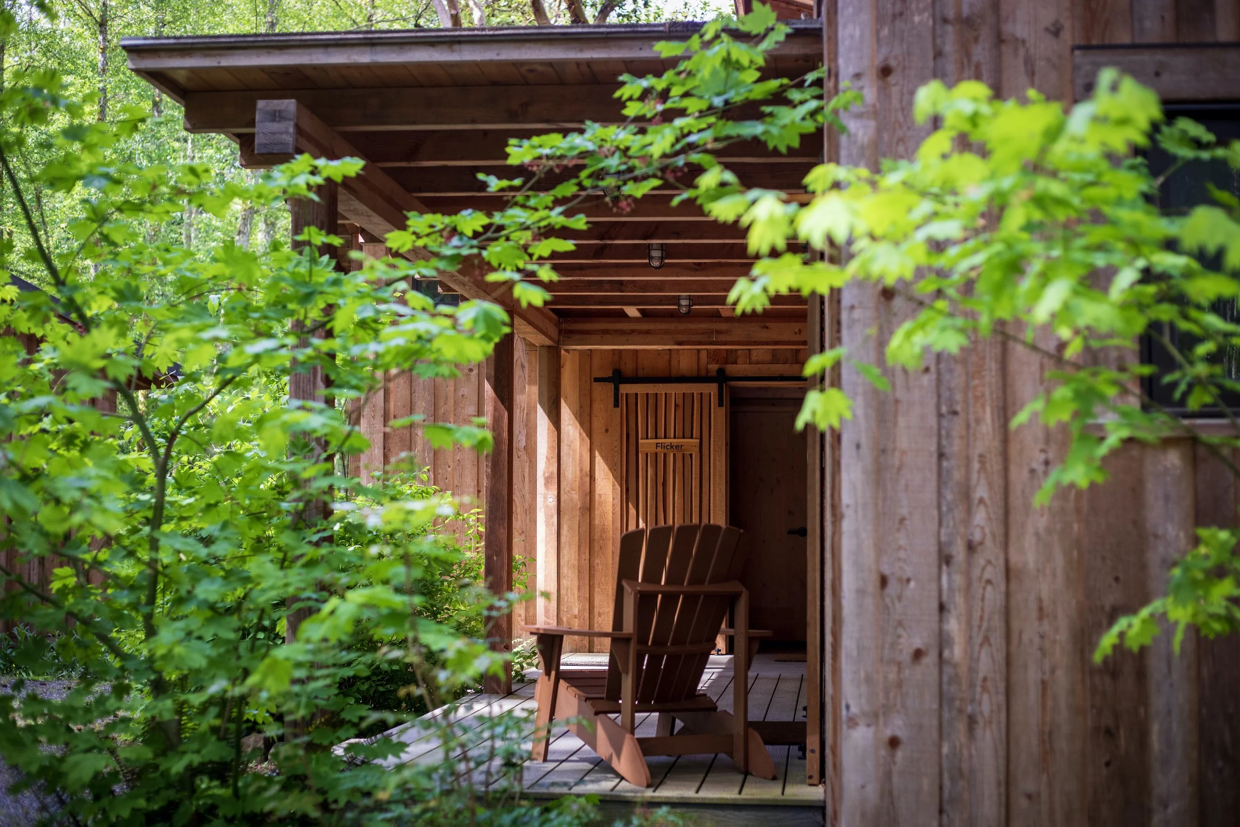Cabins_MVI_7156.jpeg