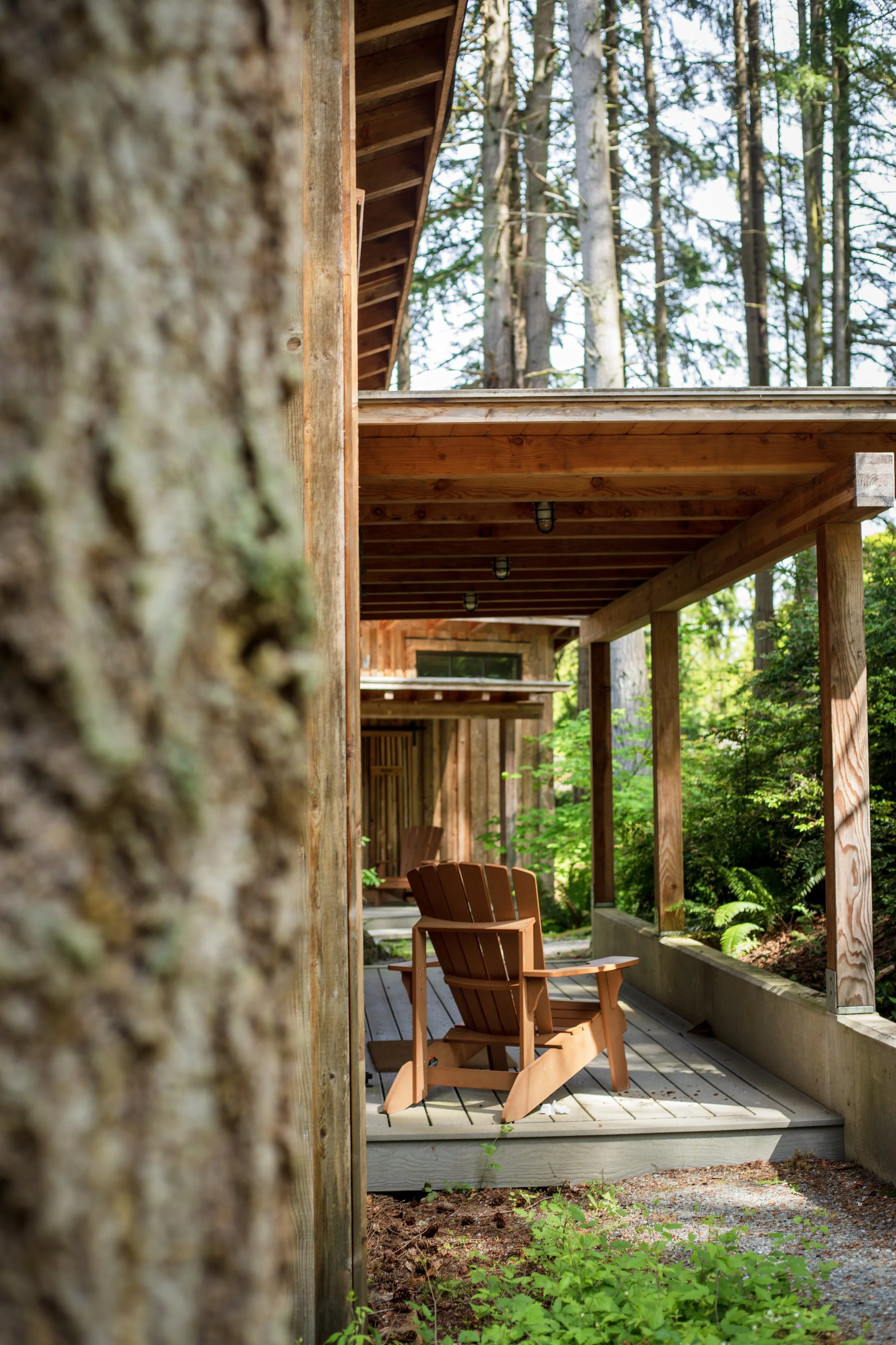Cabins_MVI_7168.jpg