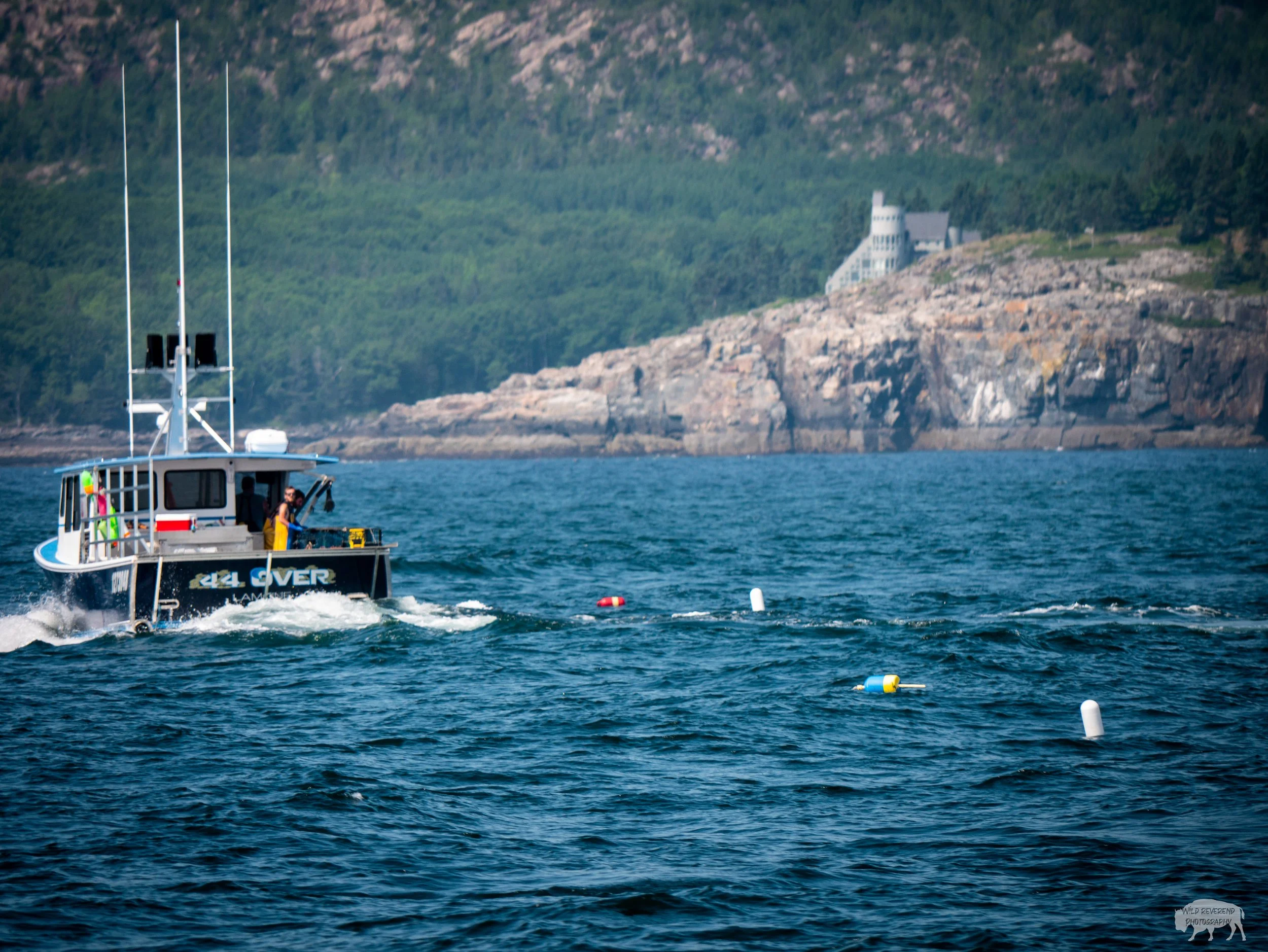 One of the highlights from a puffin cruise was honestly seeing this lobster ship doing their thing.