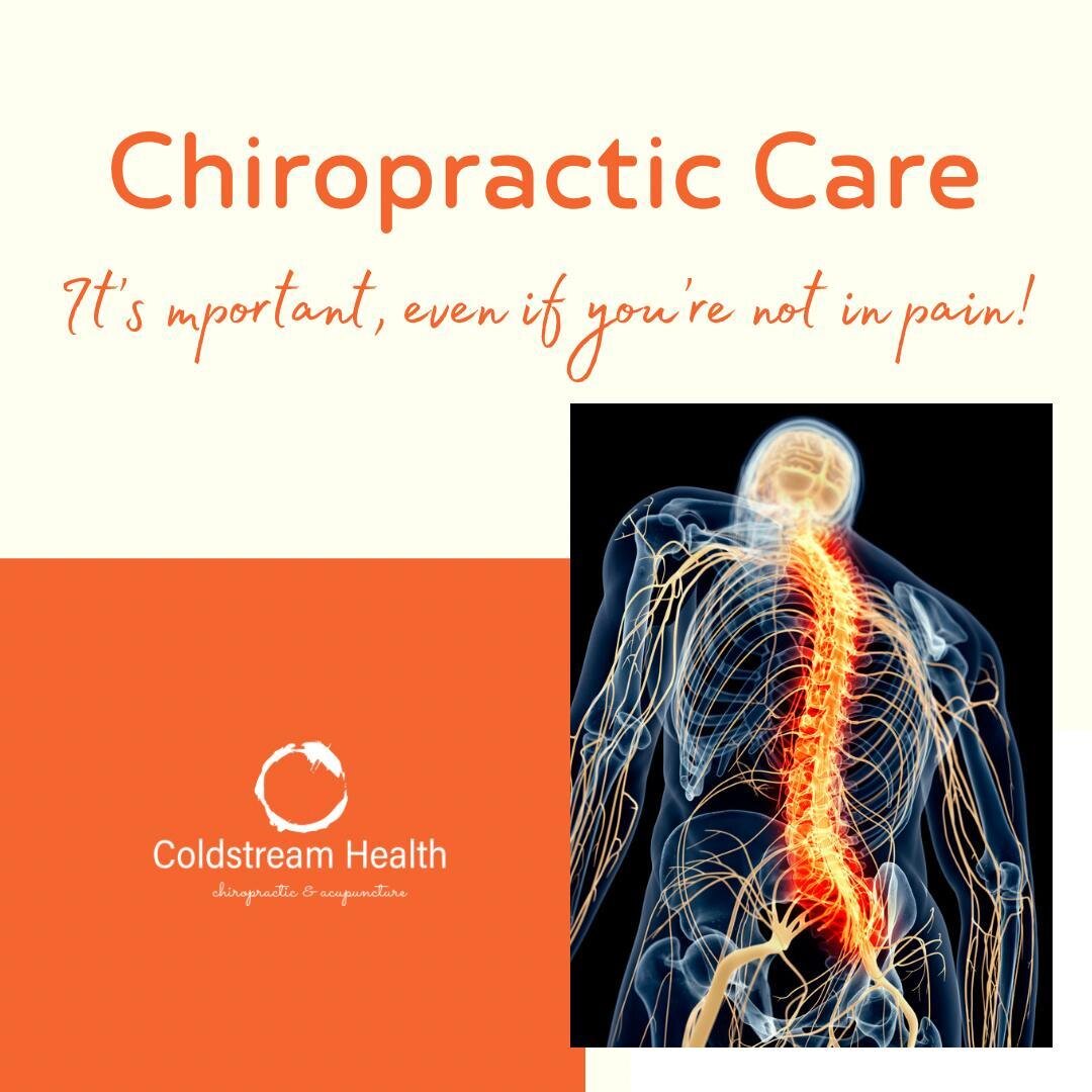Some think chiropractic is only for back pain. The truth is that the spine is intimately connected to all functions in the body because of the nervous system. Chiropractic adjustments improve so many aspects of health and performance for babies, kids