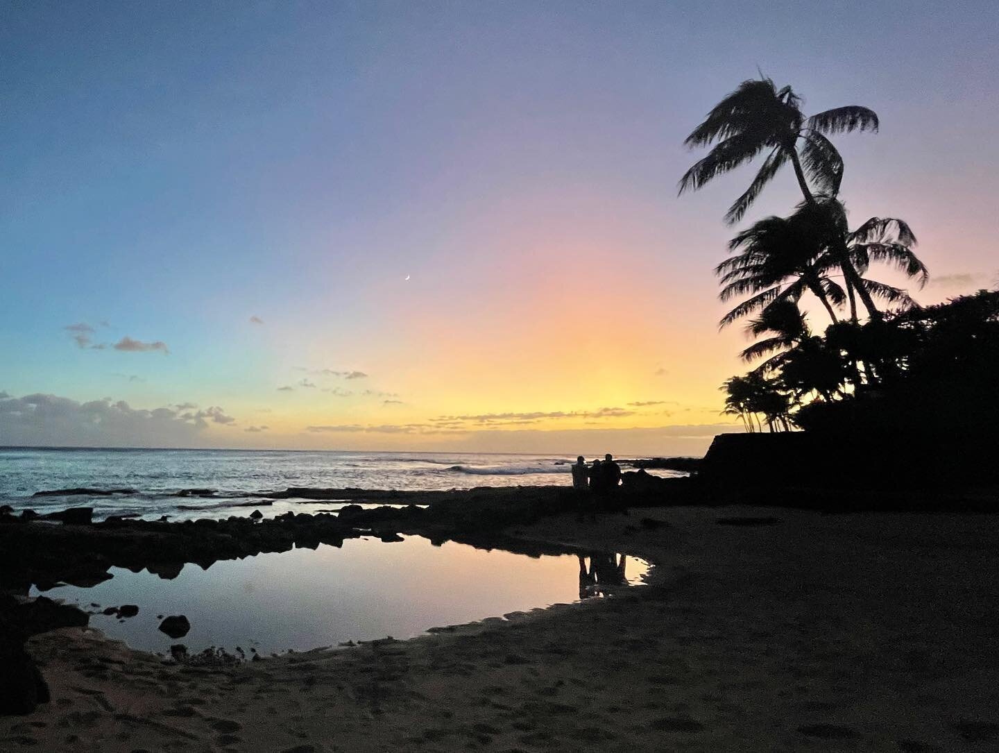 I caught the sunset the last three nights. It never gets old. 
.
.
.
#sunset #sunsetlover #nature #nightsky #hawaii #islandlife #islandliving #kauai #kauaihawaii #soontobemommy #pregnantlife #datenights #meditation #transcendentalmeditation #happypla