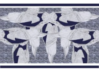 Unruffled | Blank Card |