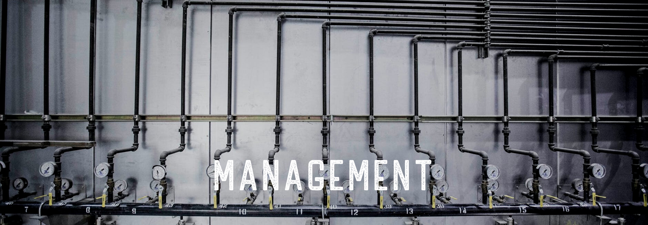Management — Solution Midstream