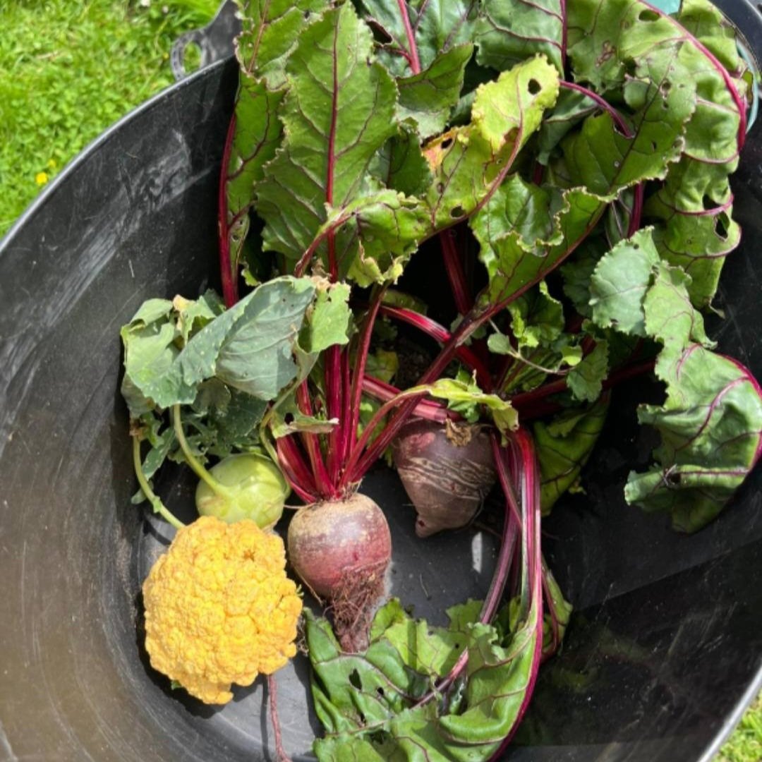 Garden to Plate 1.jpg