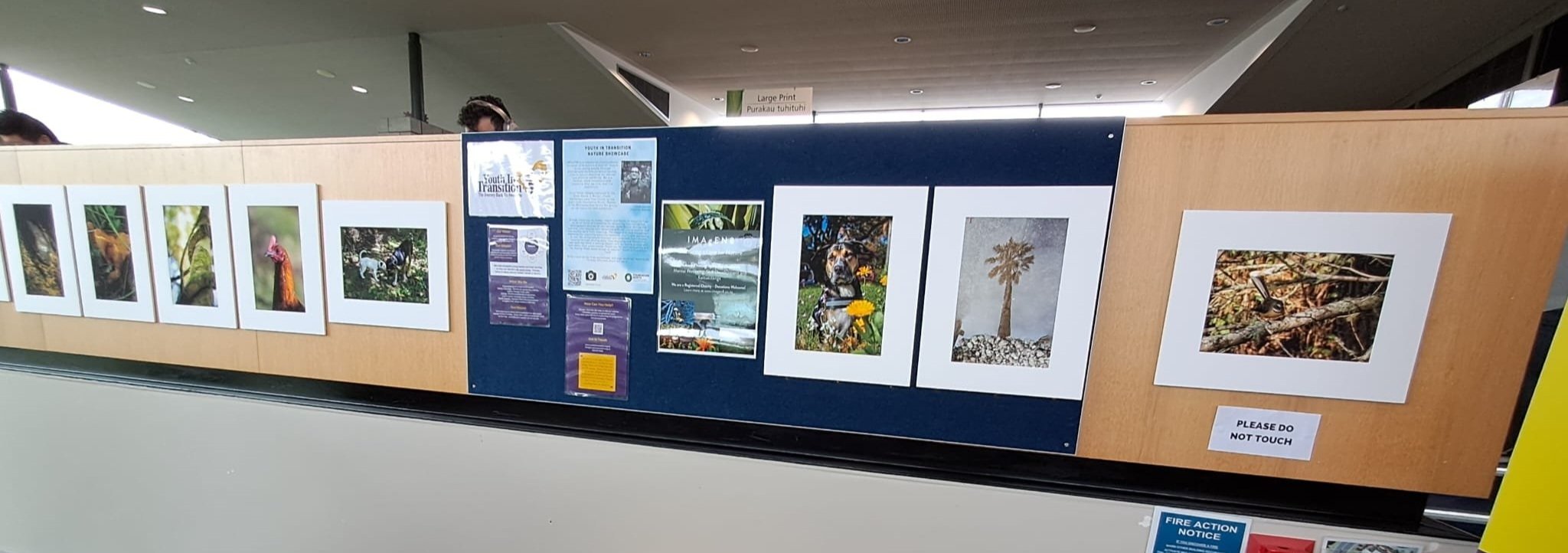 Photography+Exhibition+Sept+2025+1.jpg