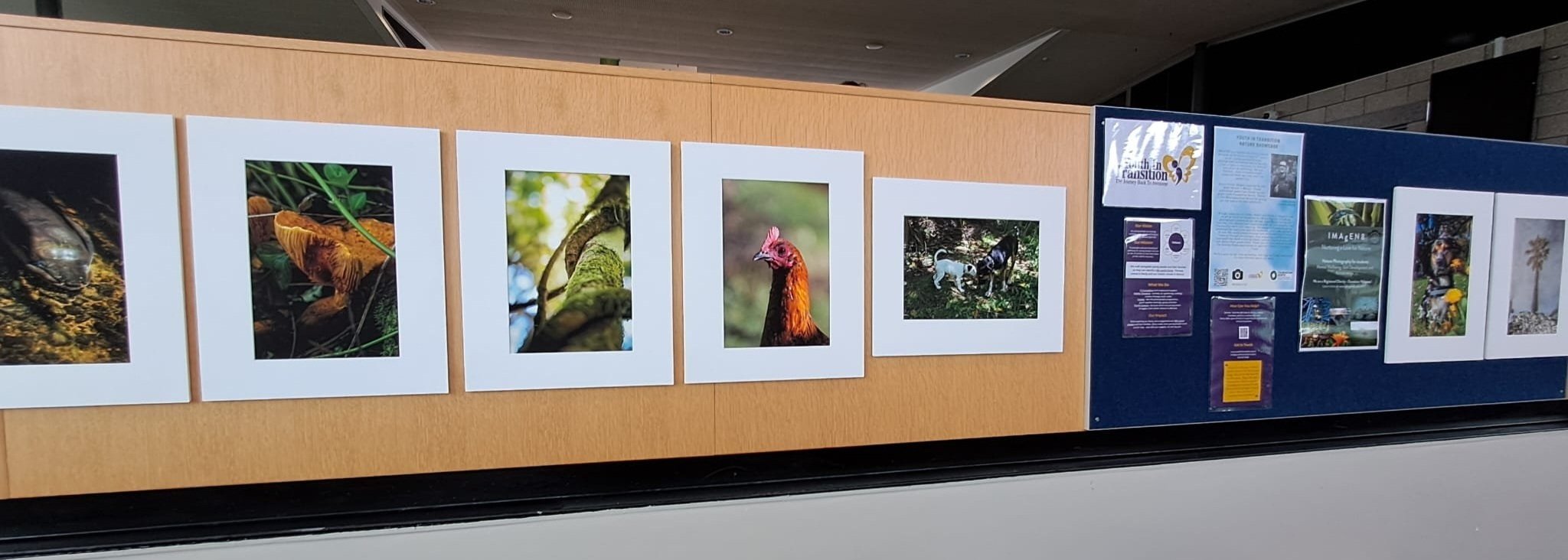 Photography+Exhibition+Sept+2025+4.jpg