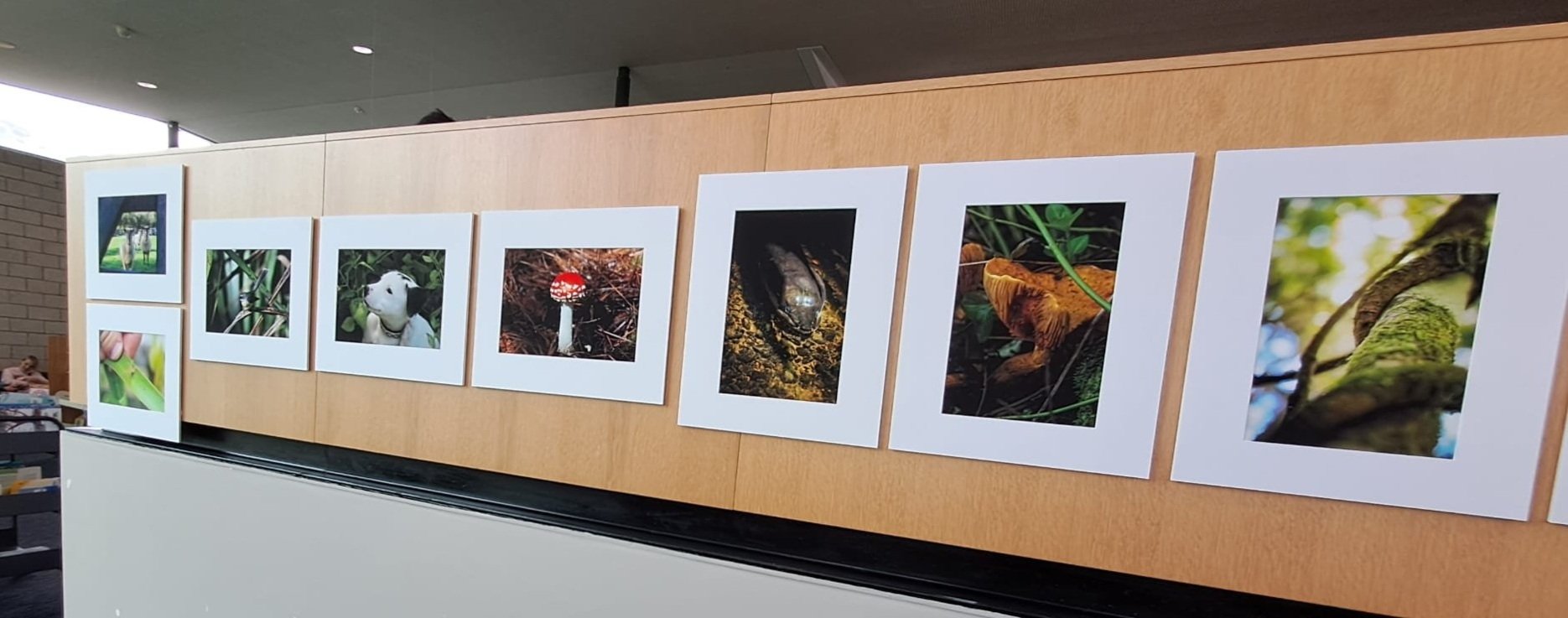 Photography+Exhibition+Sept+2025+3.jpg