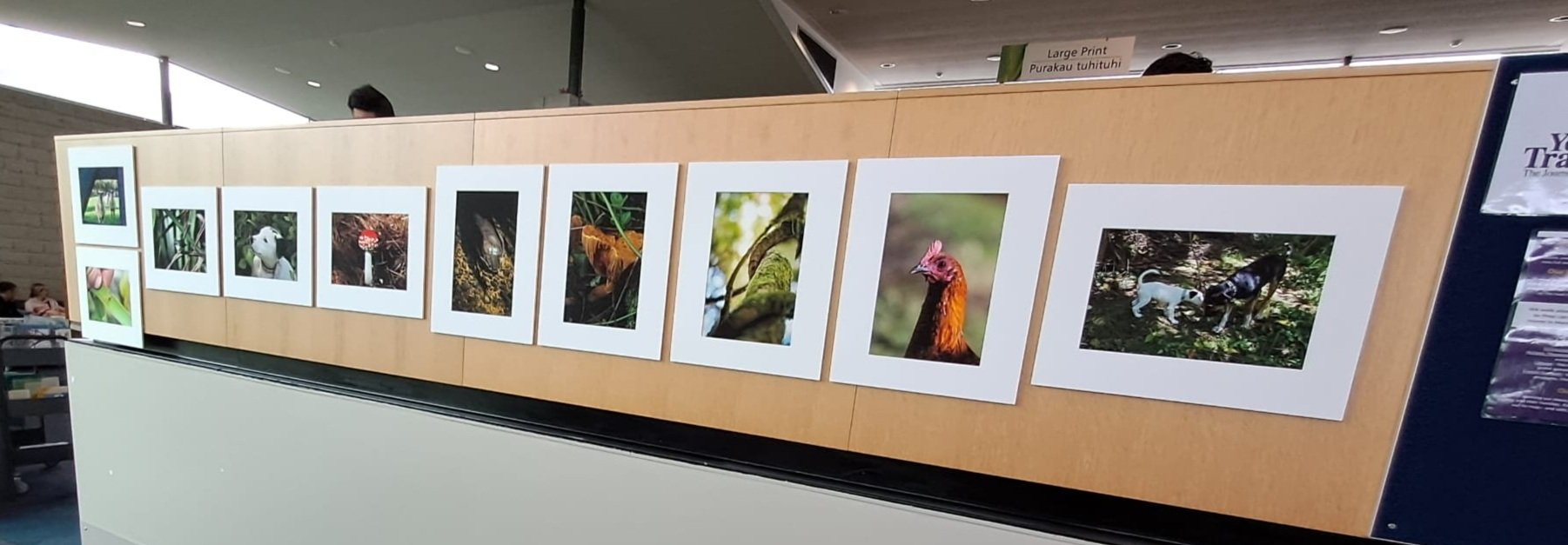 Photography+Exhibition+Sept+2025+2.jpg