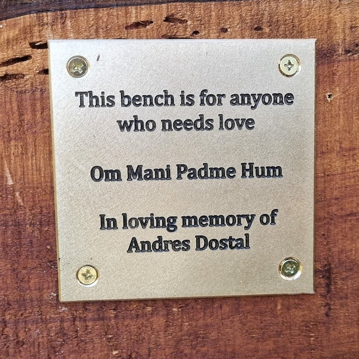 Special+Bench.jpg