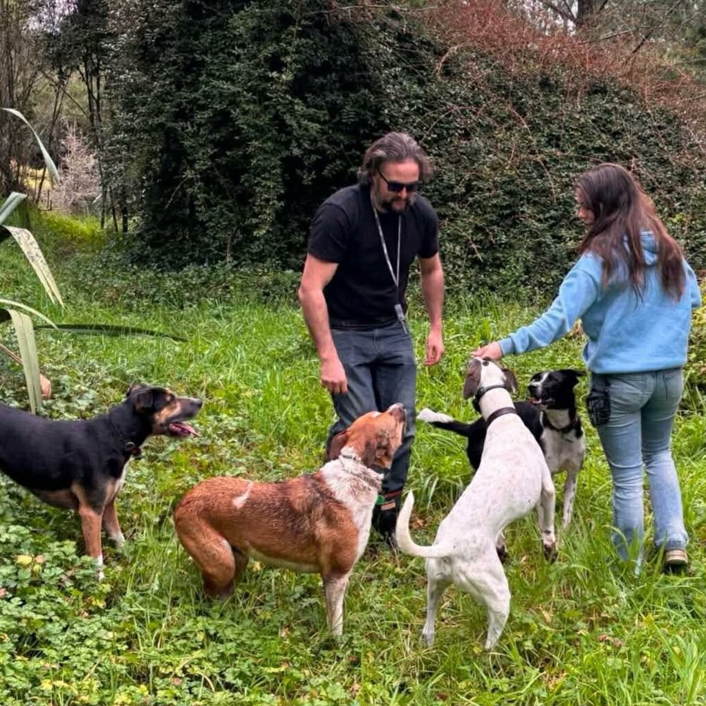 Daisy+Grayson+%26+Dogs+2.jpg