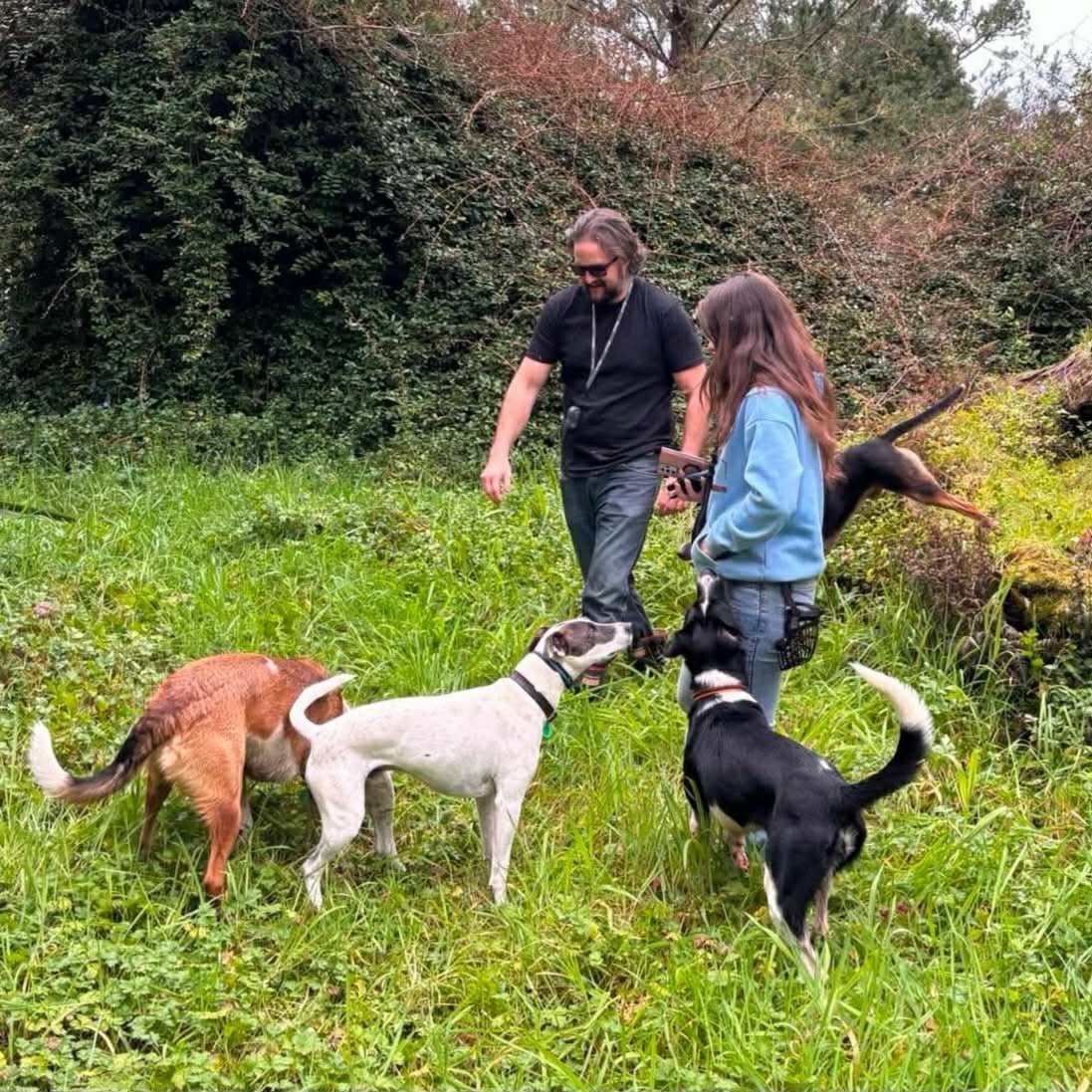 Daisy+Grayson+%26+Dogs+1.jpg