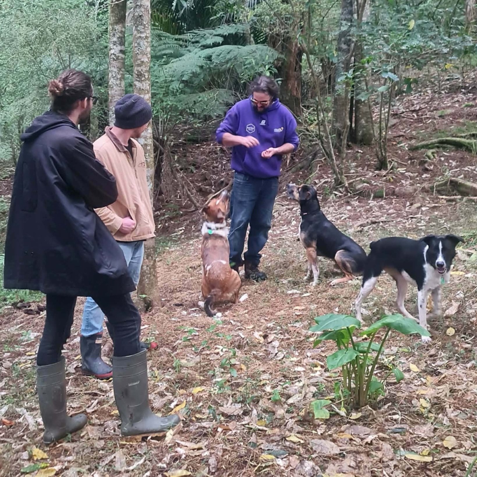 Dogs+and+Dinner7.jpg