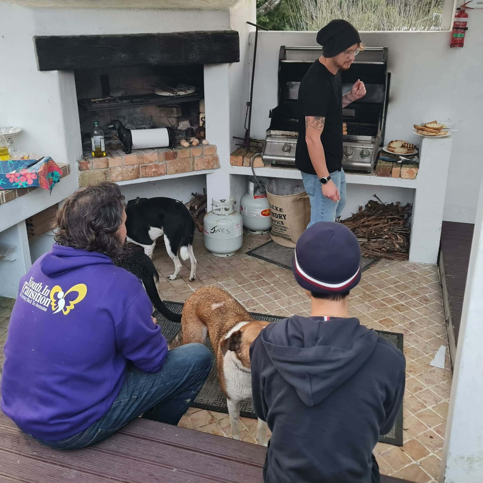Dogs+and+Dinner9.jpg