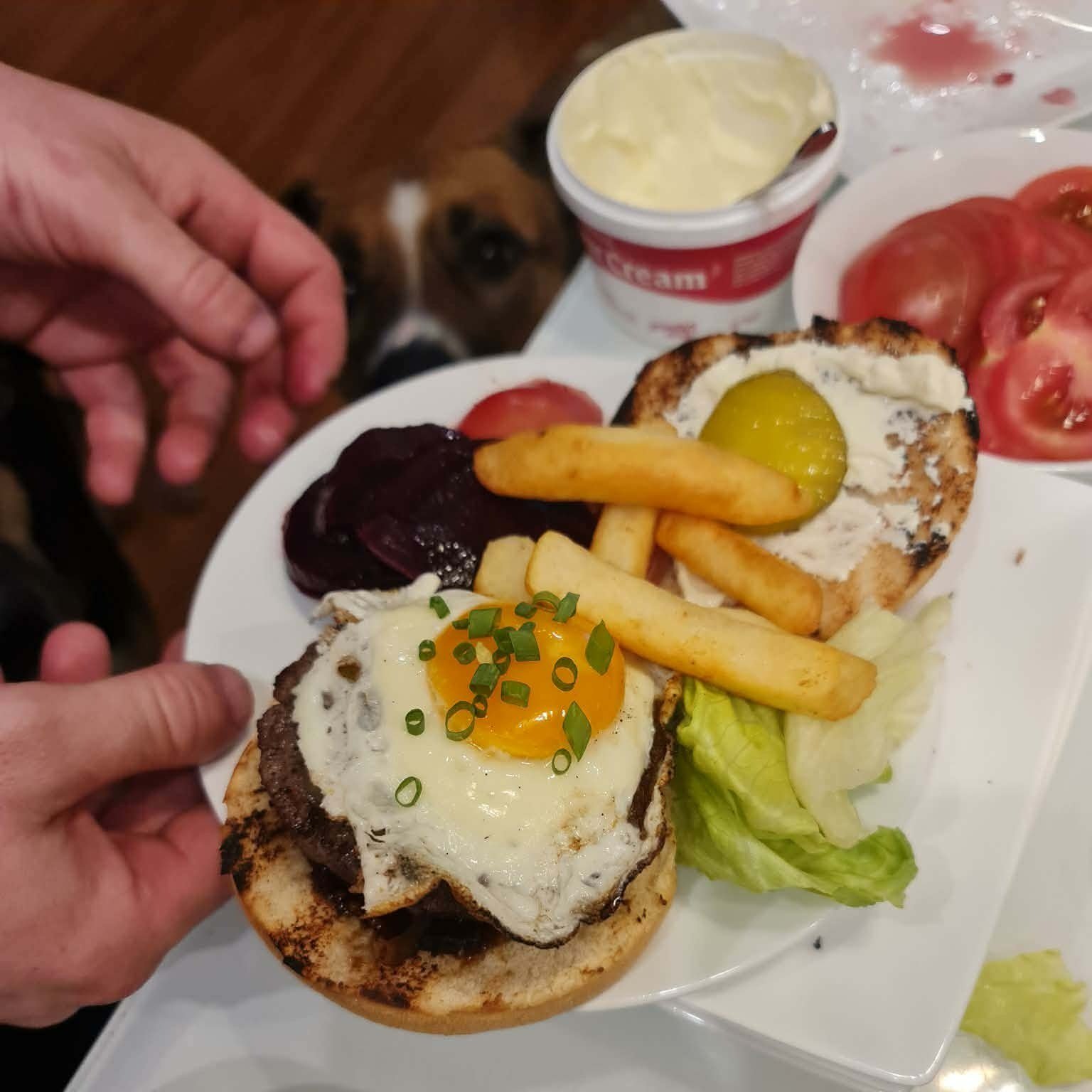 Dogs+and+Dinner10.jpg