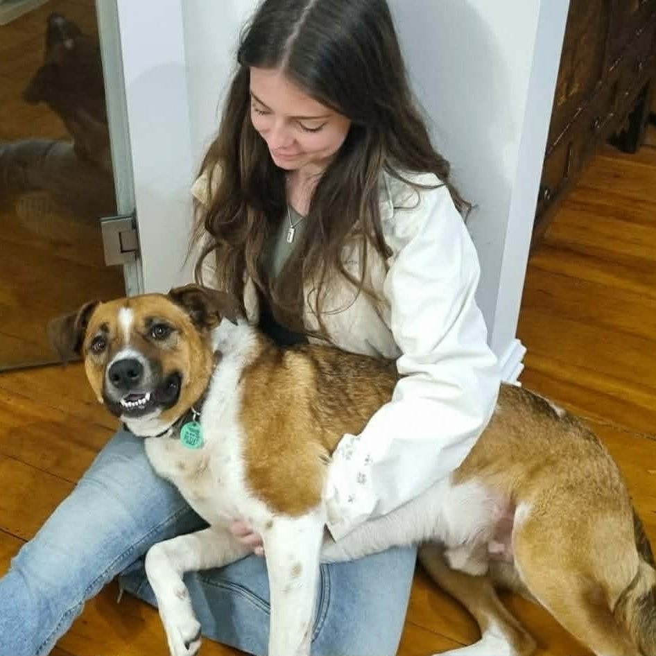 Dogs+and+Dinner11.jpg