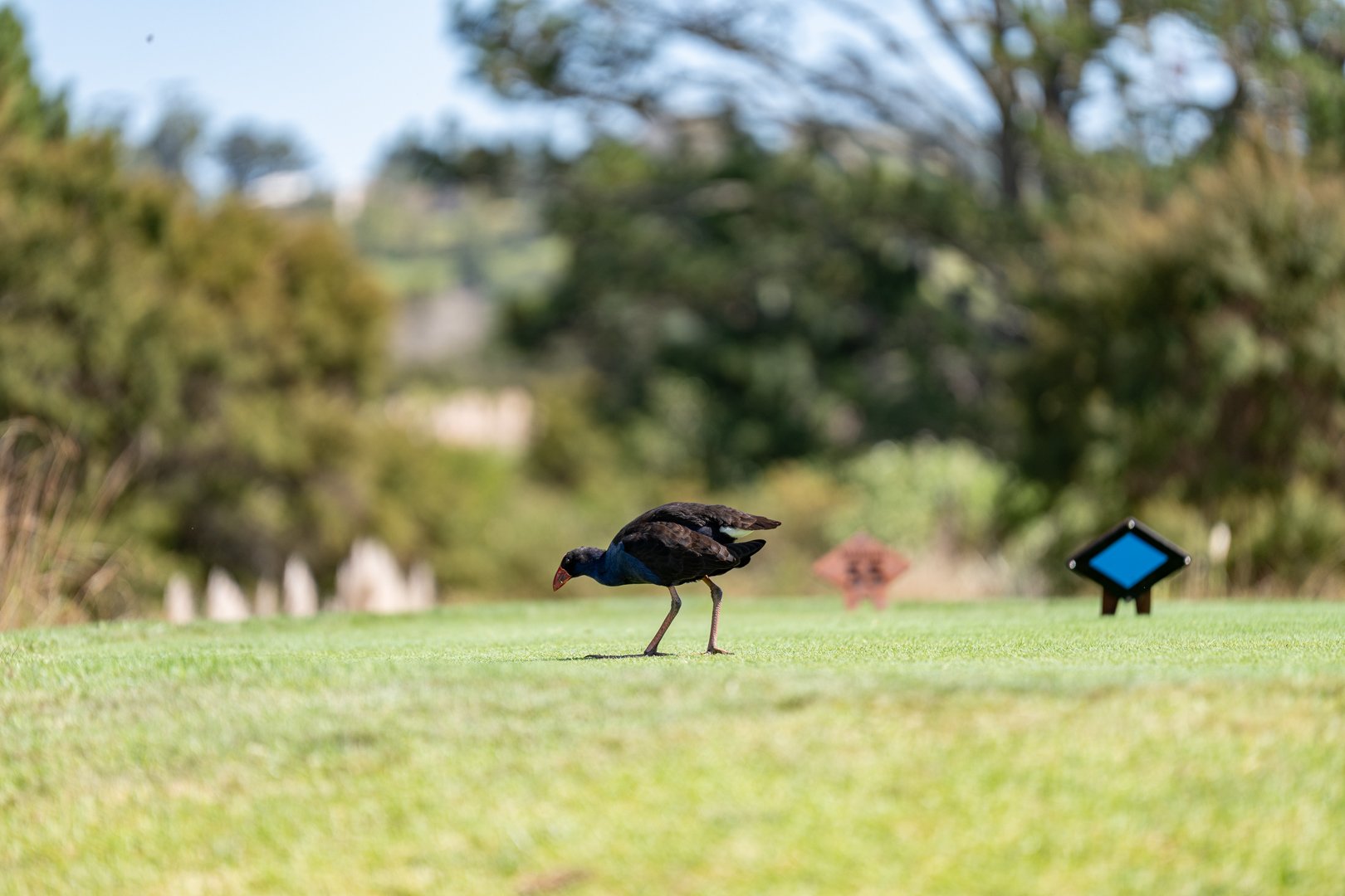 UP_05800_Web Size.jpg