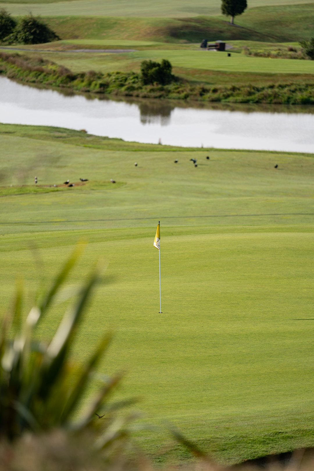 UP_05066_Web Size.jpg