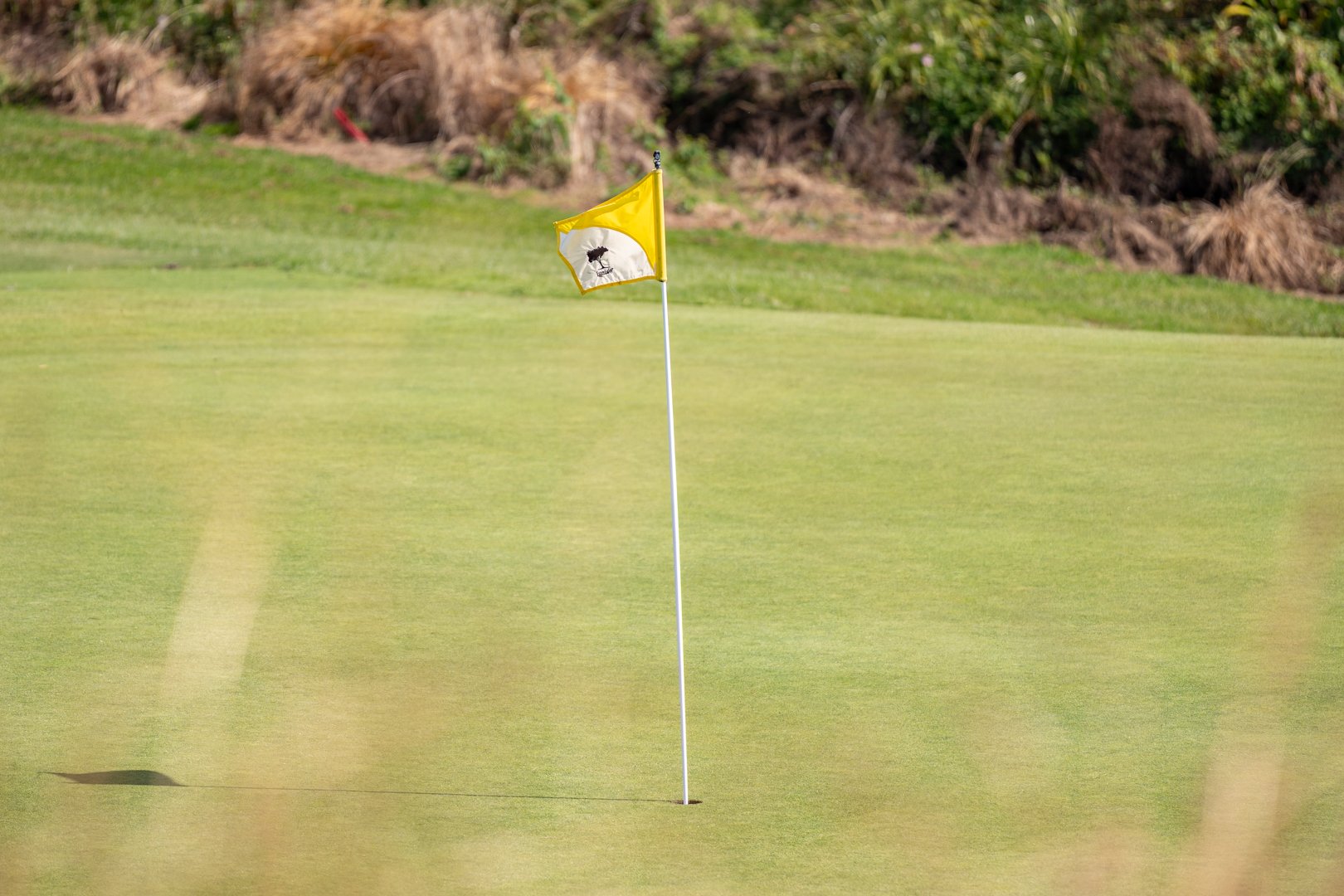 UP_05488_Web Size.jpg