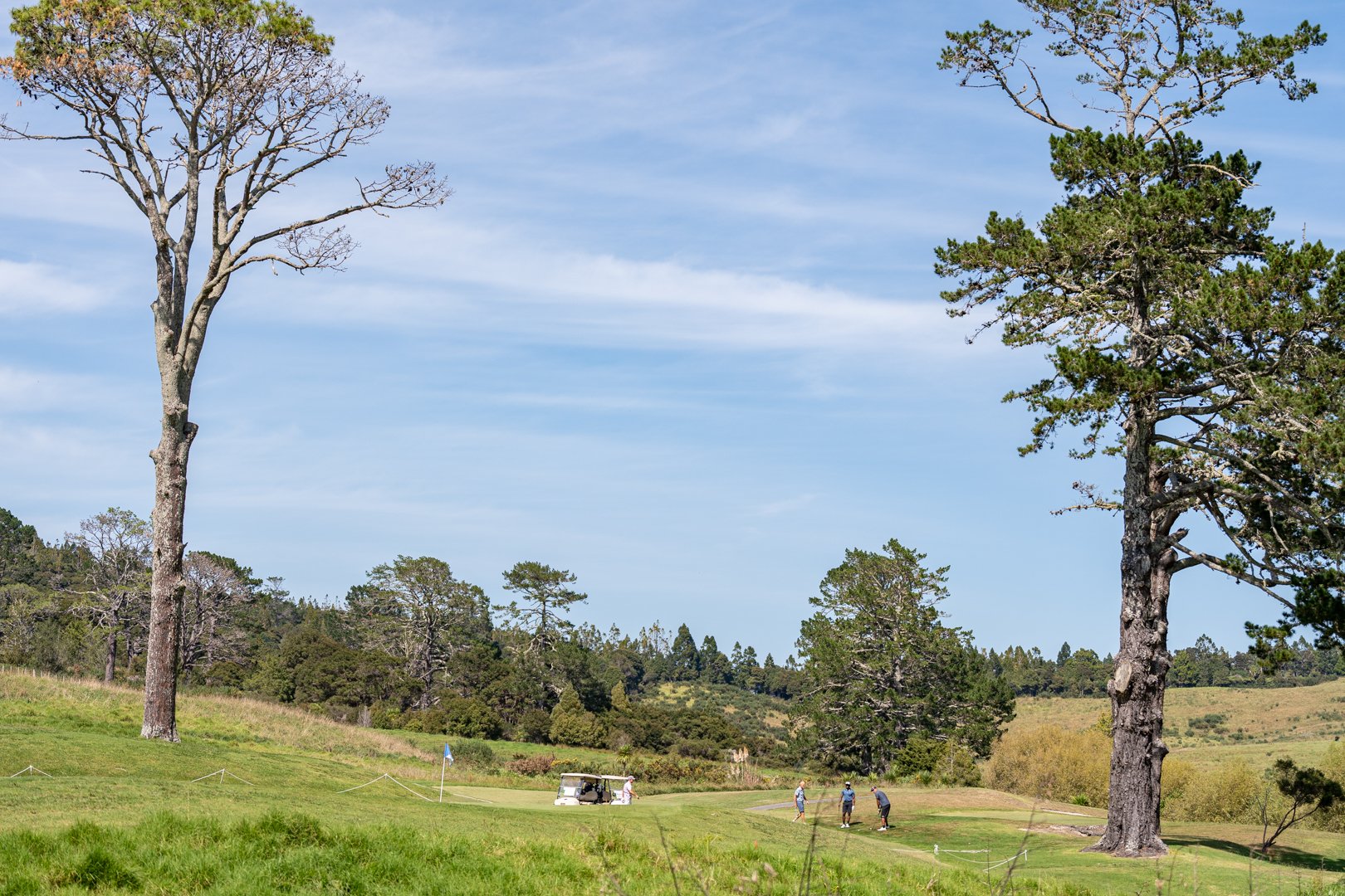 UP_05548_Web Size.jpg