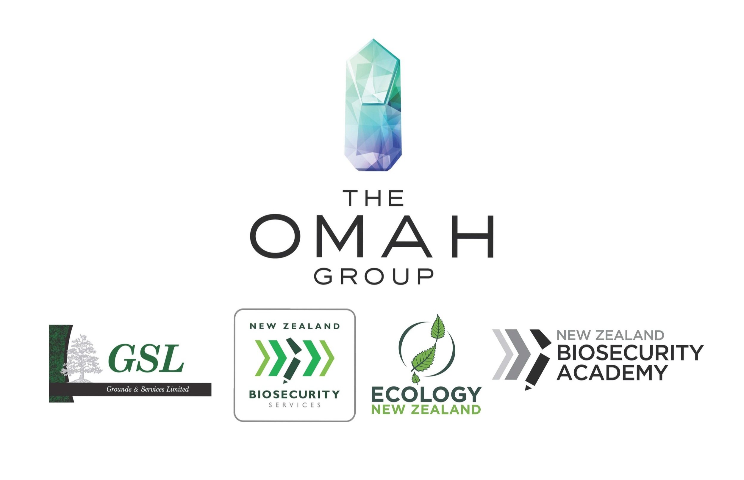 OMAH+Consolidated+Group.jpg