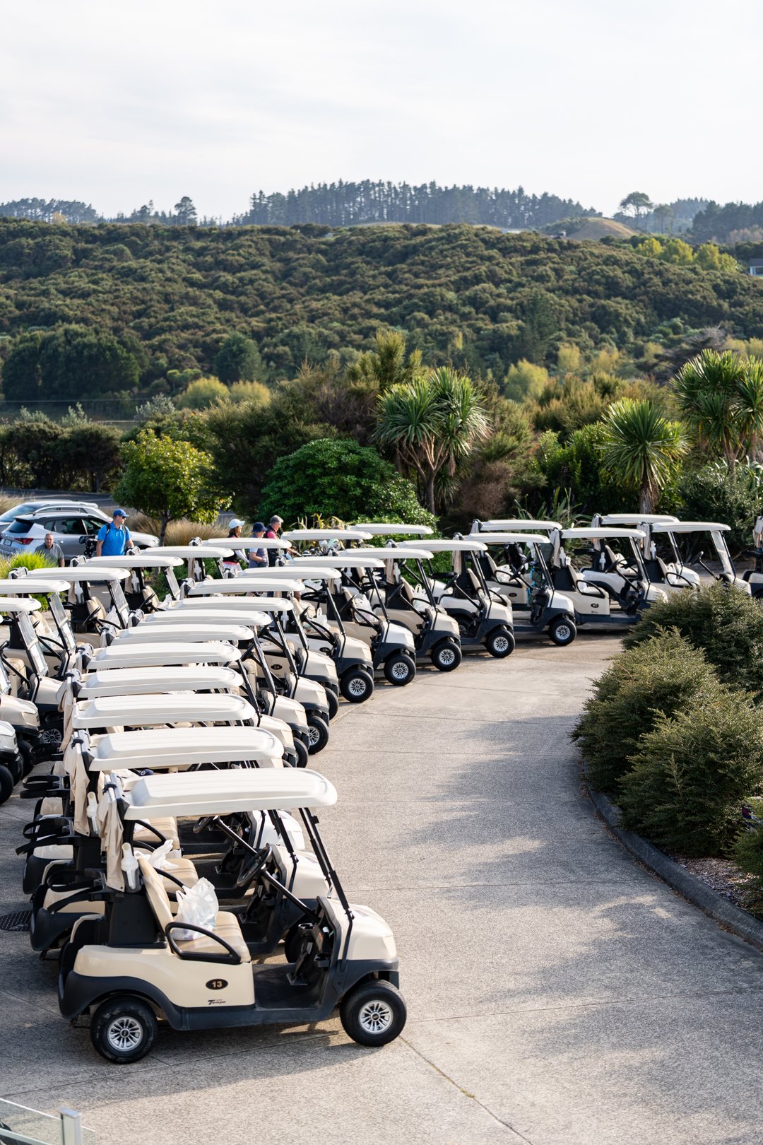 UP_05052_Web Size.jpg