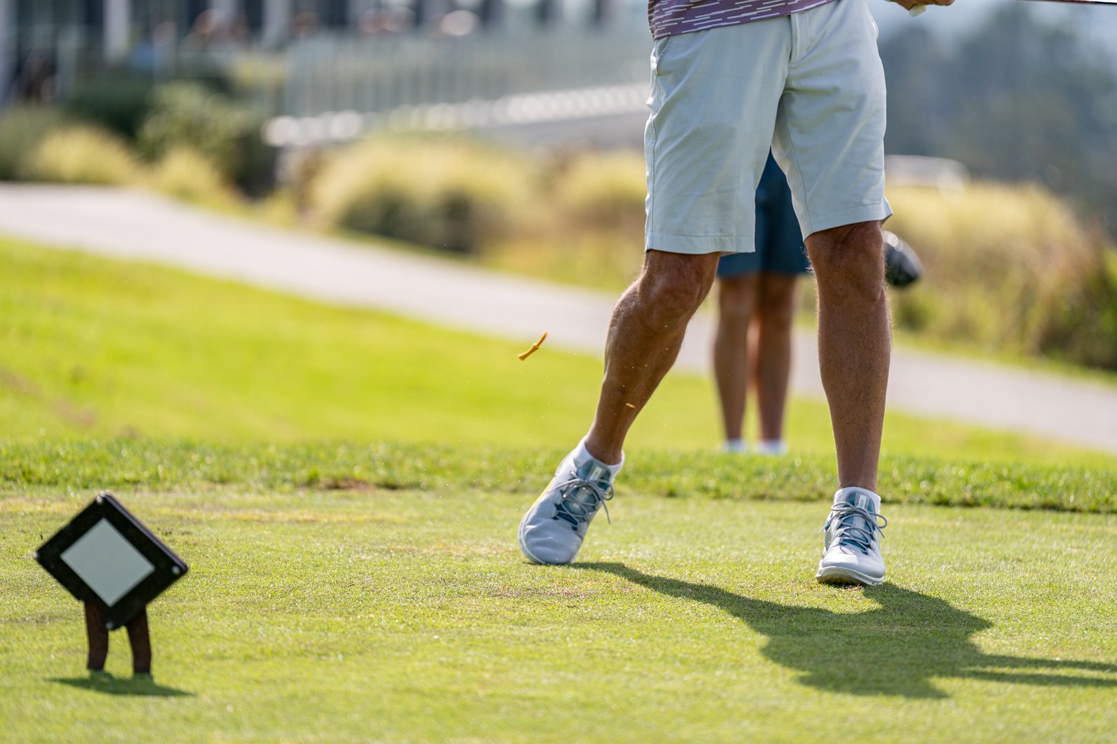 UP_05339_Web Size.jpg