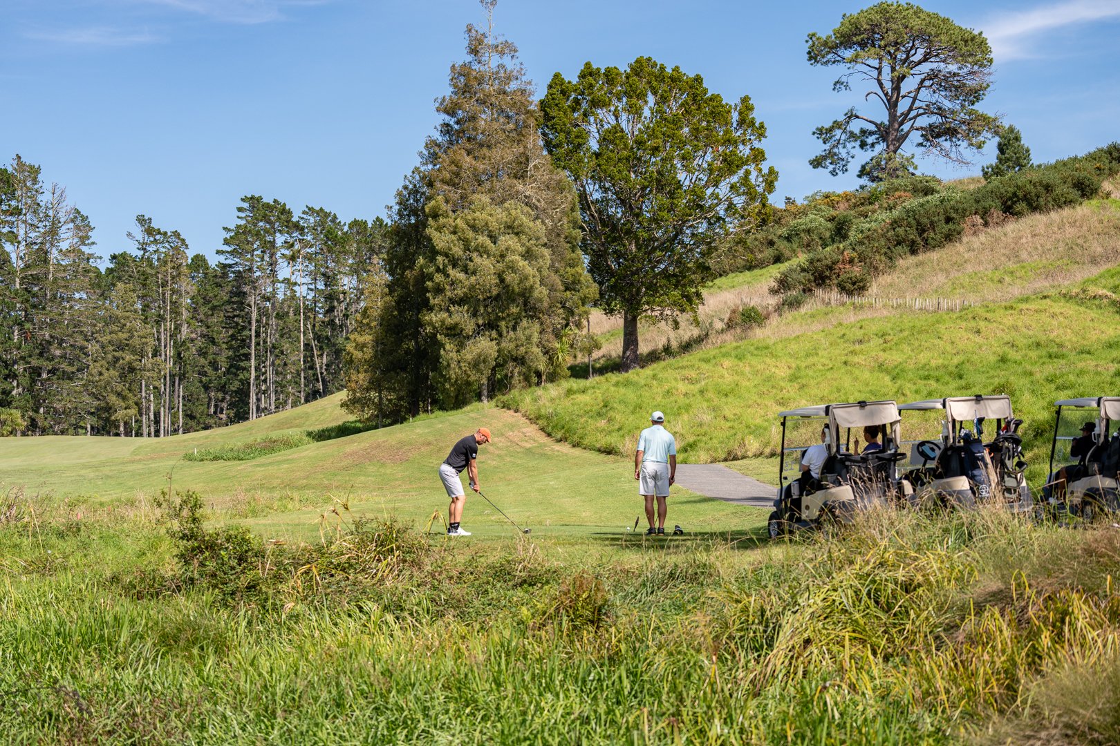 UP_05536_Web Size.jpg