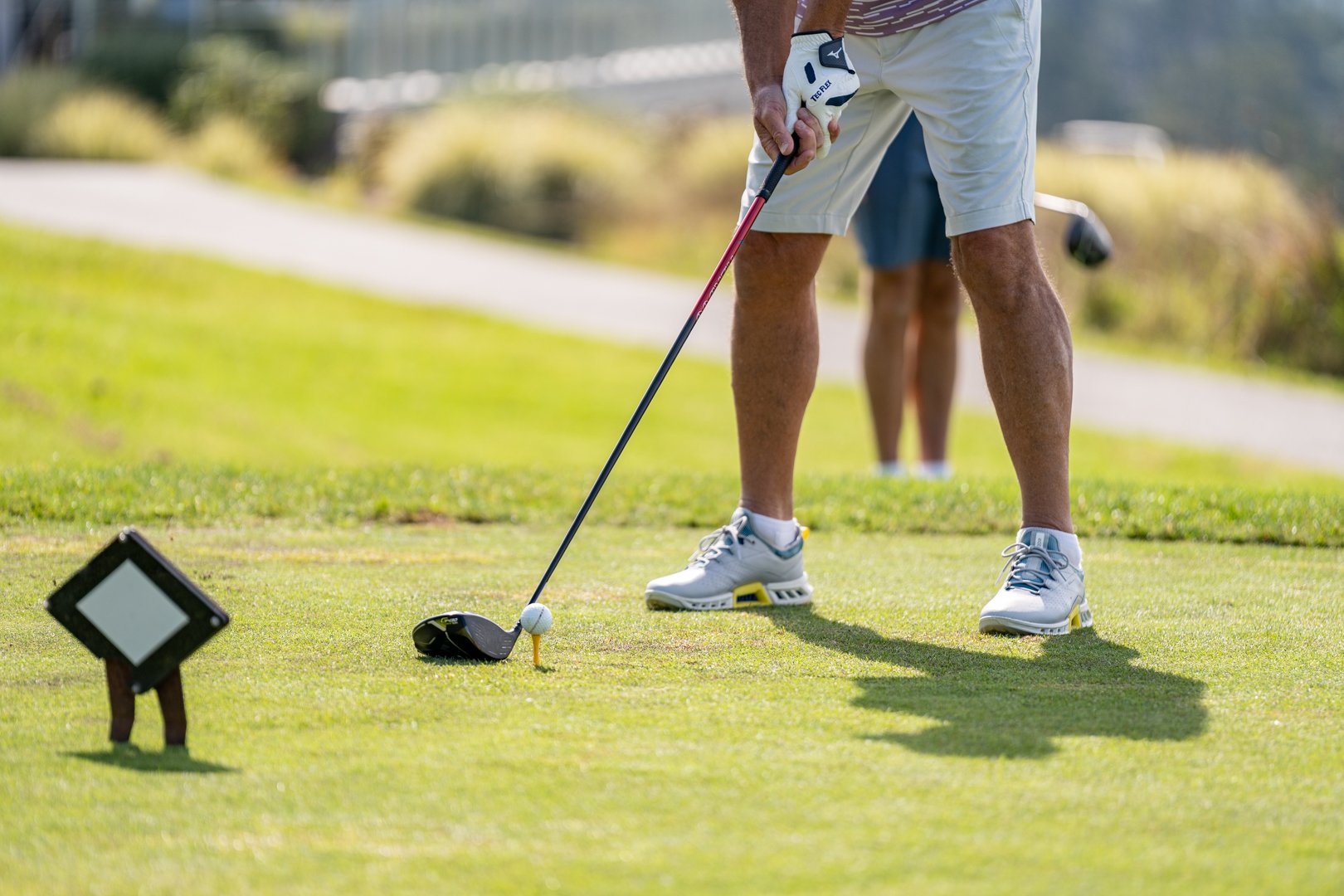 UP_05338_Web Size.jpg