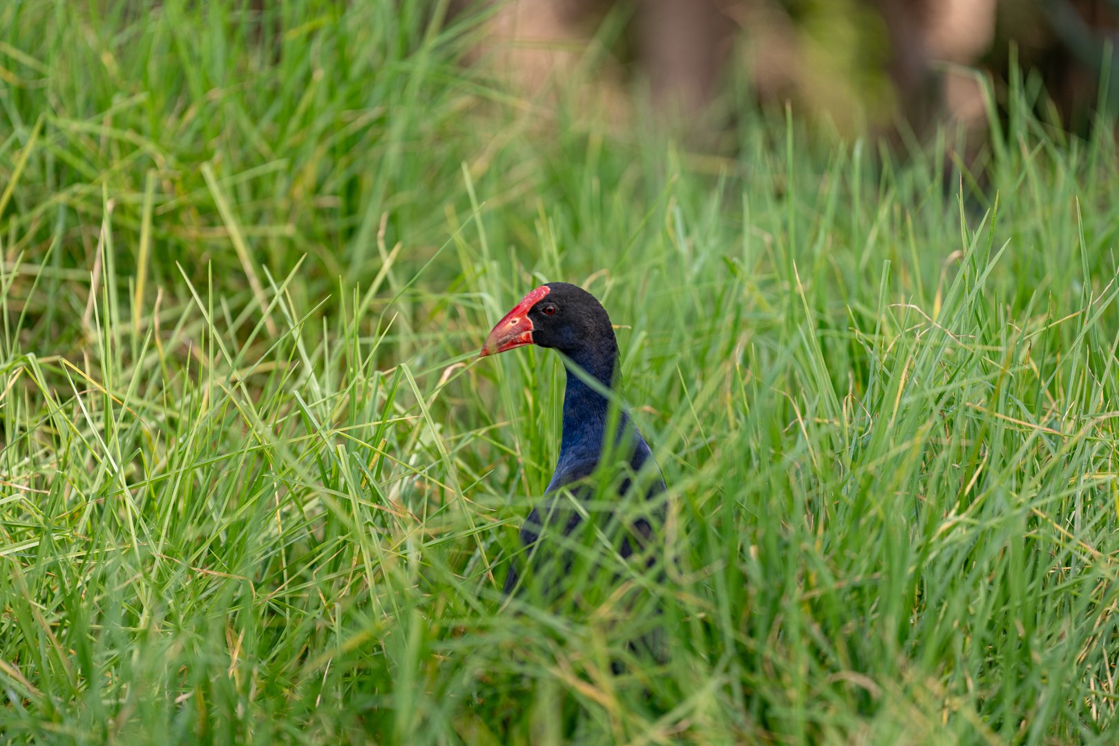 UP_05382_Web Size.jpg