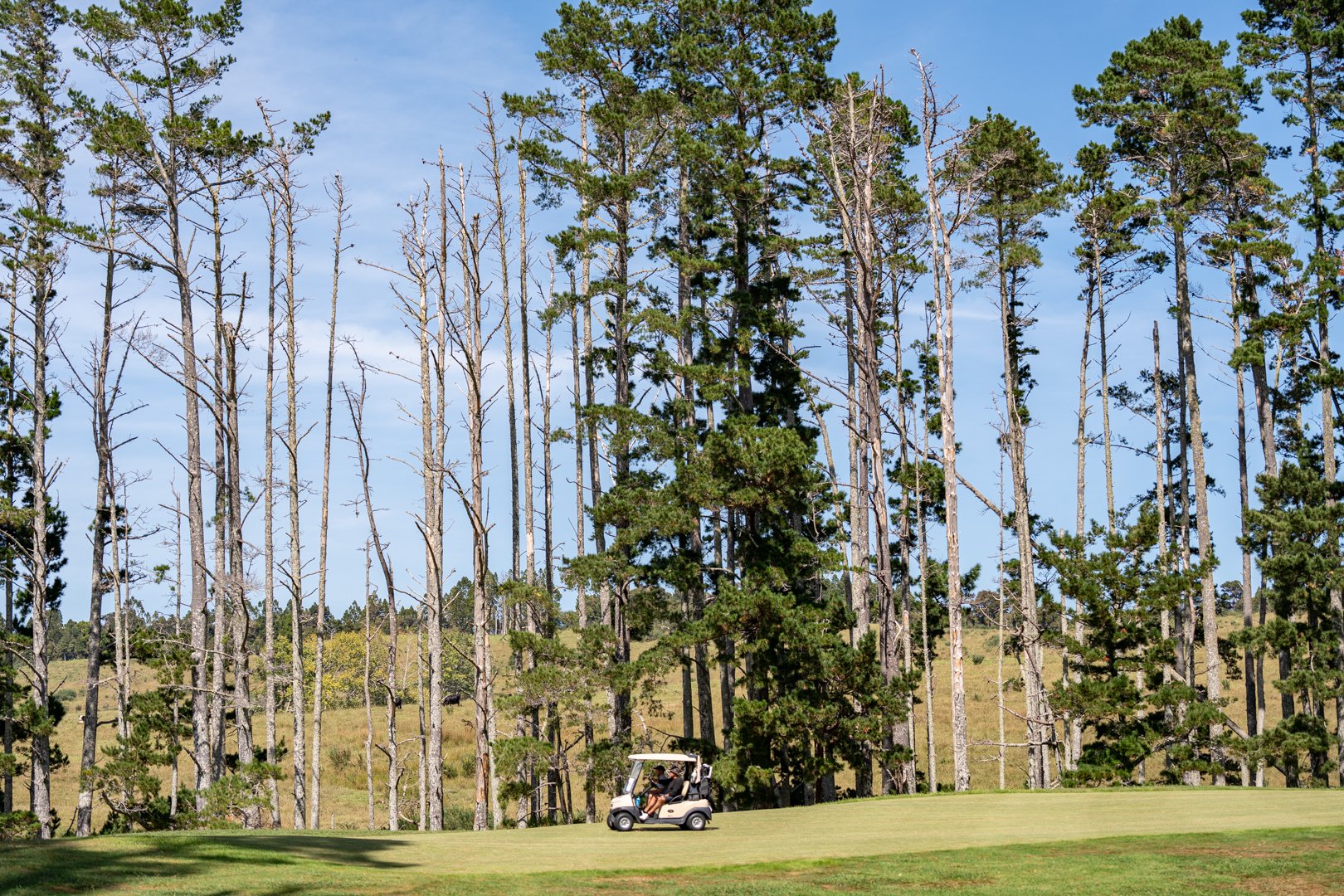 UP_05567_Web Size.jpg