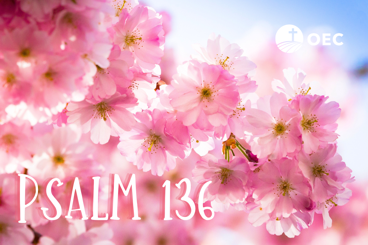 Psalm 136 episode artwork