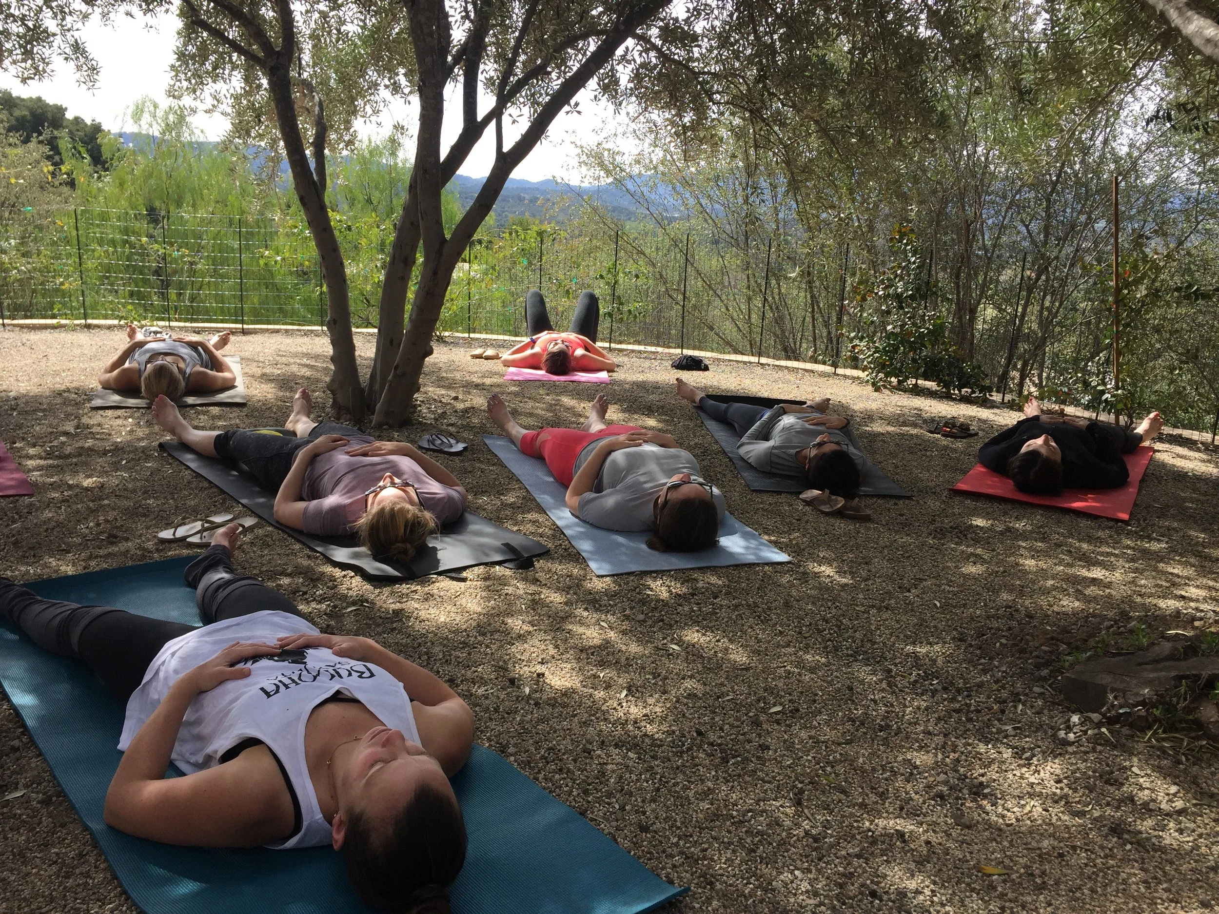 outdoor private ojai yoga