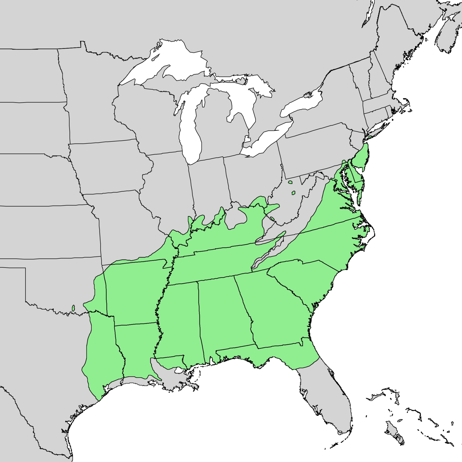 4FE08515-19FF-4A0F-90C3-CCC6FECFB051.png