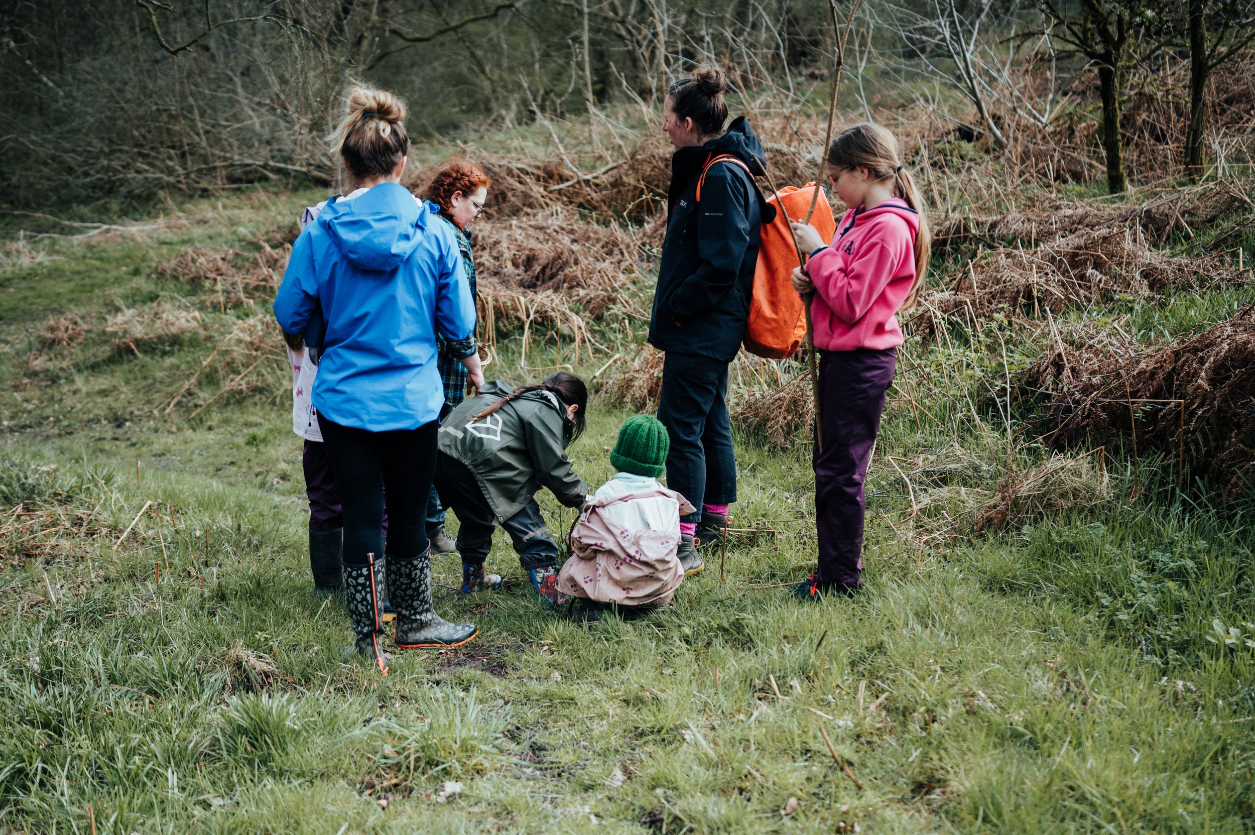 high_lees_awe_wonder_anna_hornby_folkandtale_02.jpg