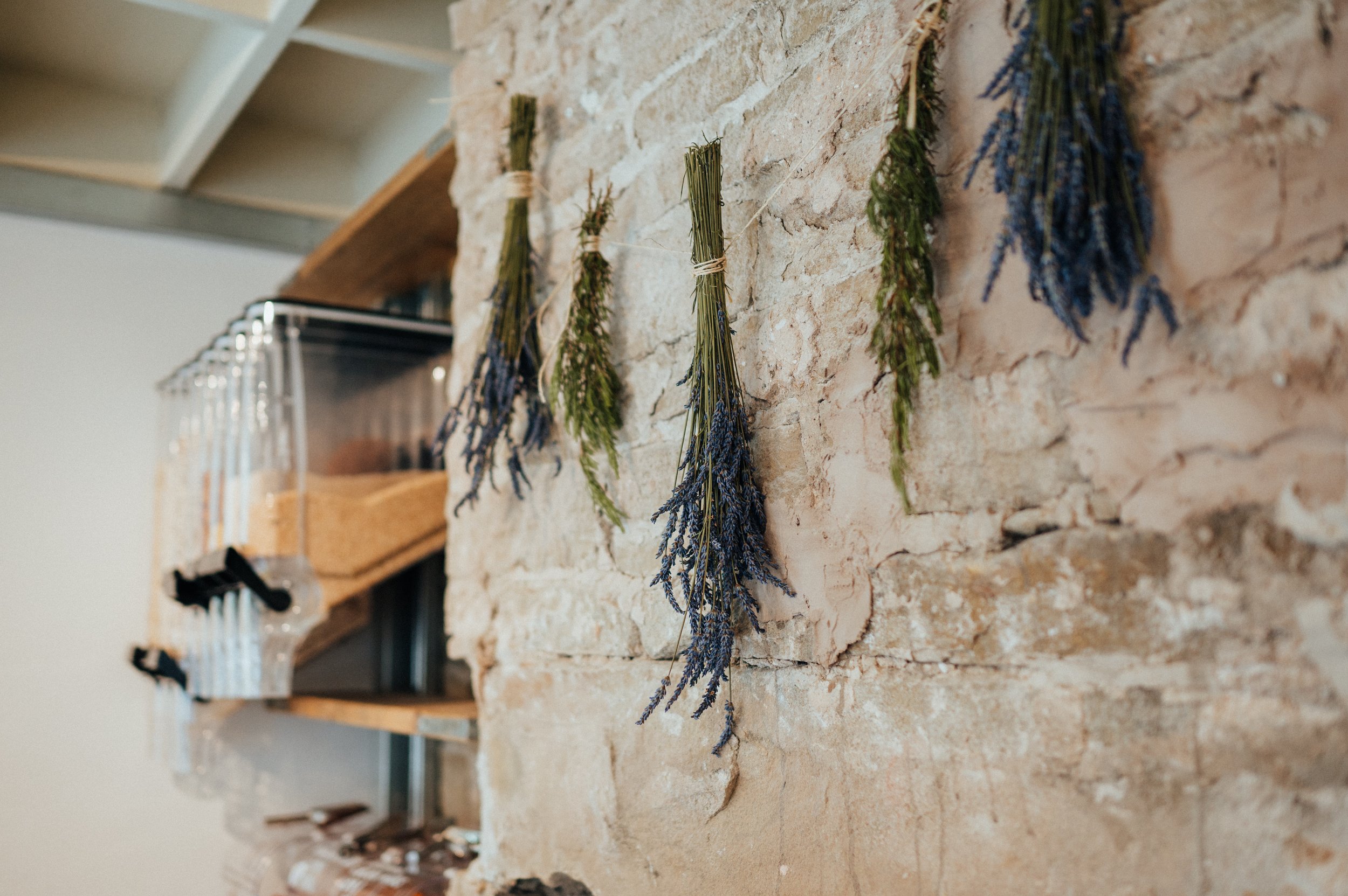 Rootstock_folk_and_tale_HR-0602.jpg