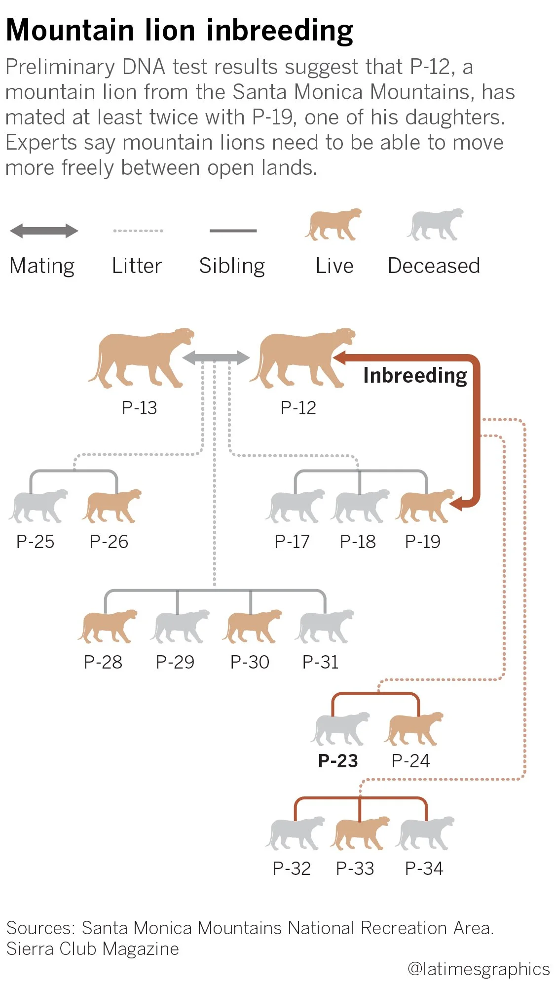 la-me-g-mountain-lion.jpg