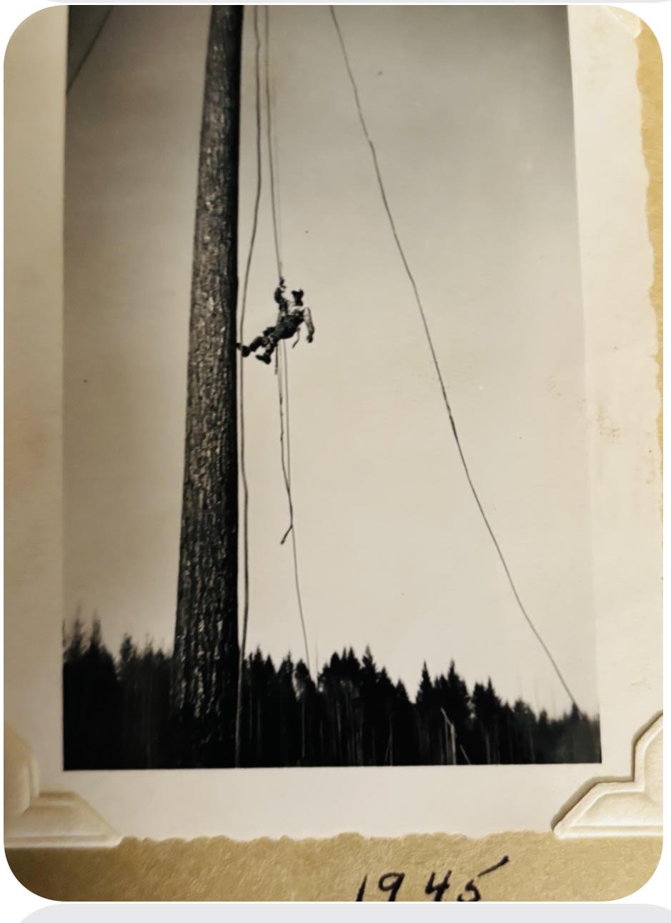 Edgar Askham climb trees.jpg