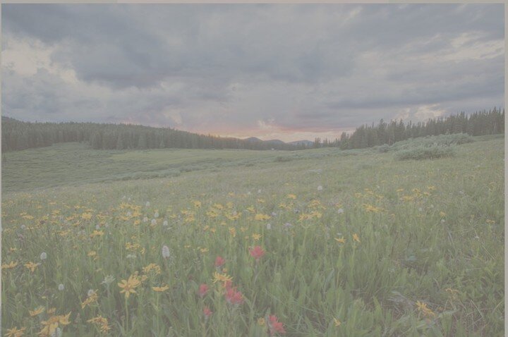 Do you meditate? 

I try. It helps me when I'm stressed and need to re-ground, but I sometimes struggle with it. This article has specific strategies if you too struggle to sit still during meditation, and if you have ADHD like me. 

#wellness #medit